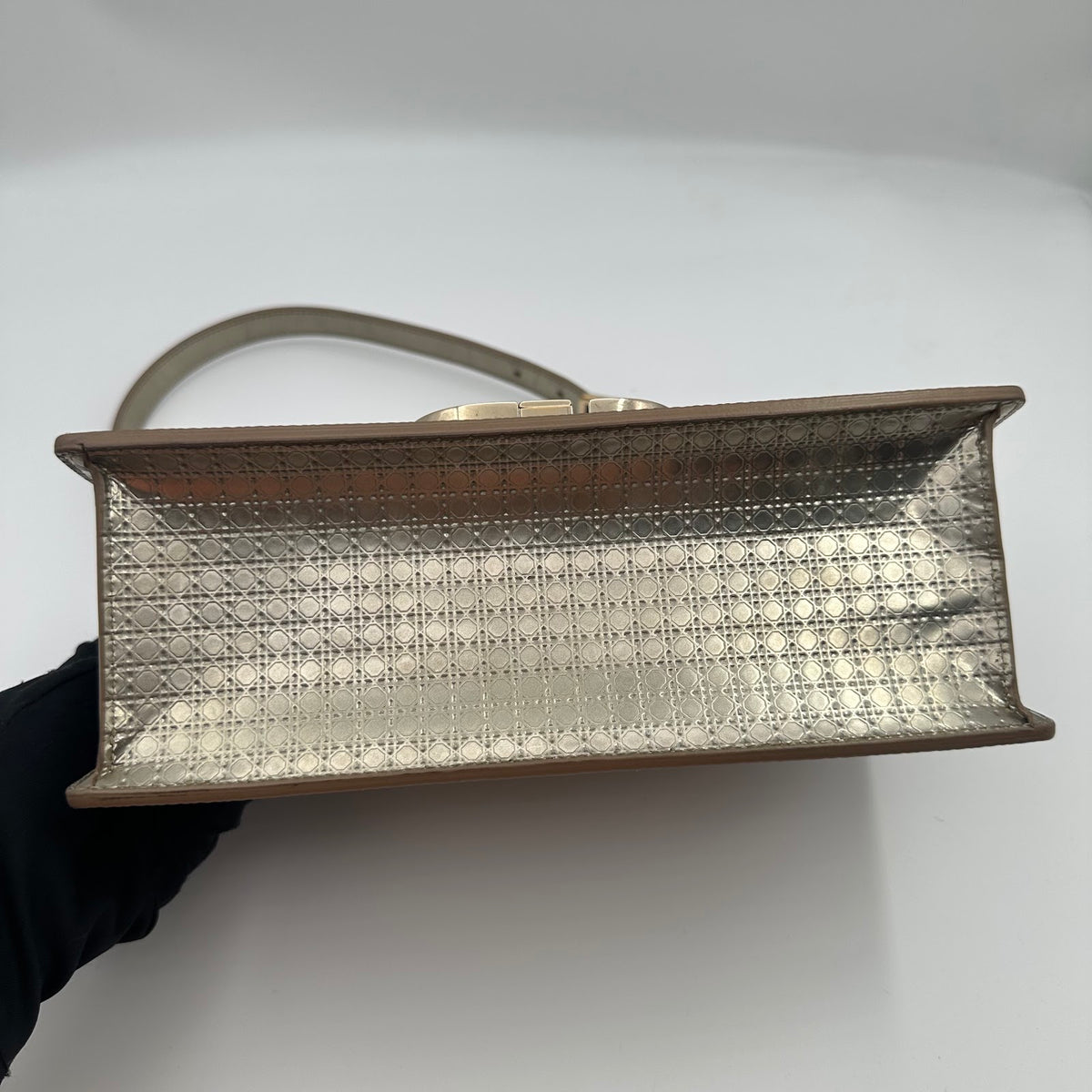 Dior Montaigne Shiny Silver (BL0937)