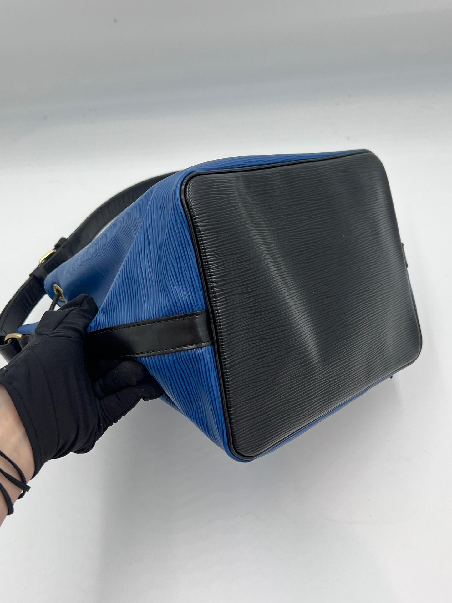 Louis Vuitton Noé Epi Bicolor