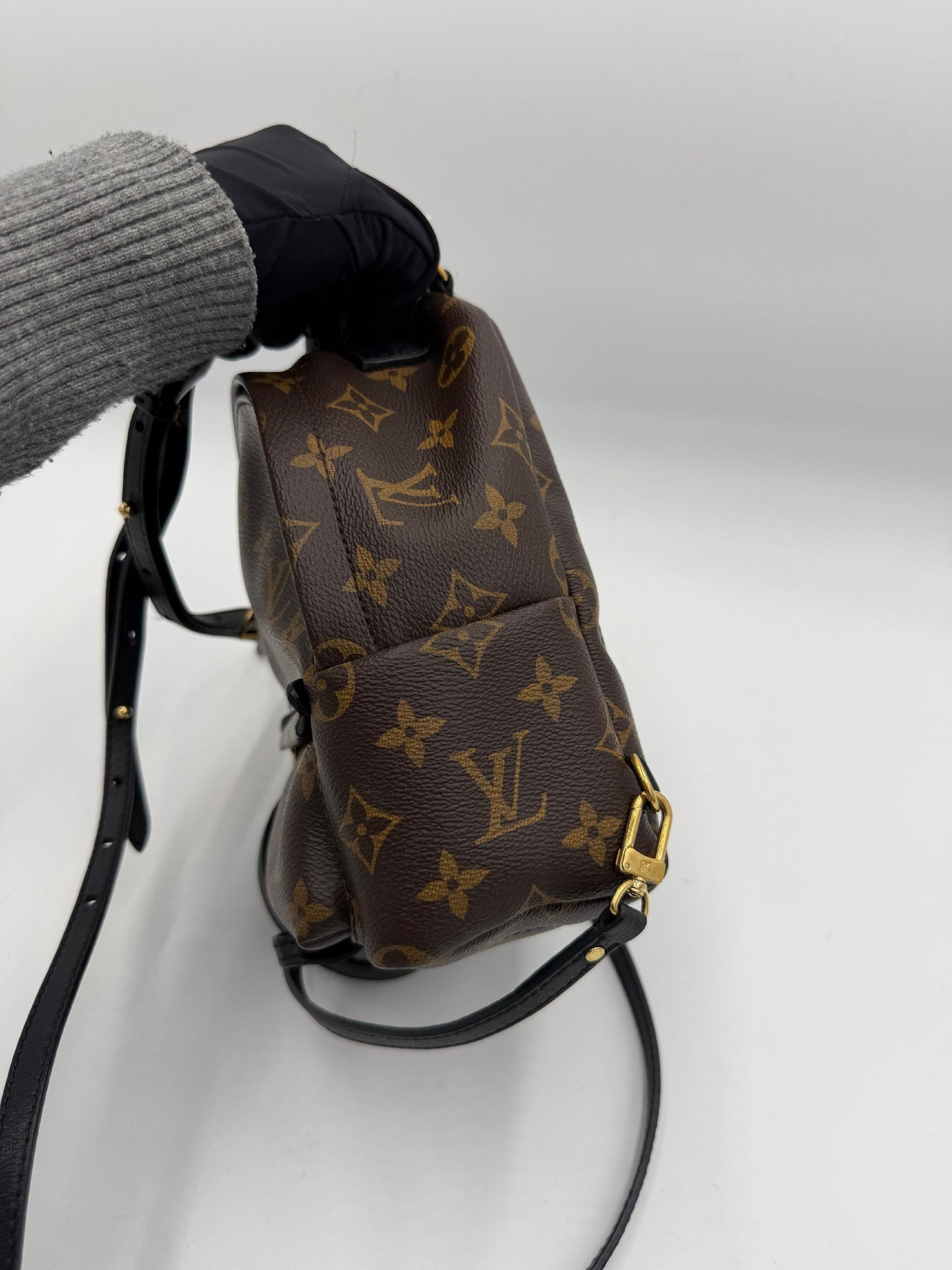 Pre-owned Louis Vuitton Monogram Palm Springs AJ458