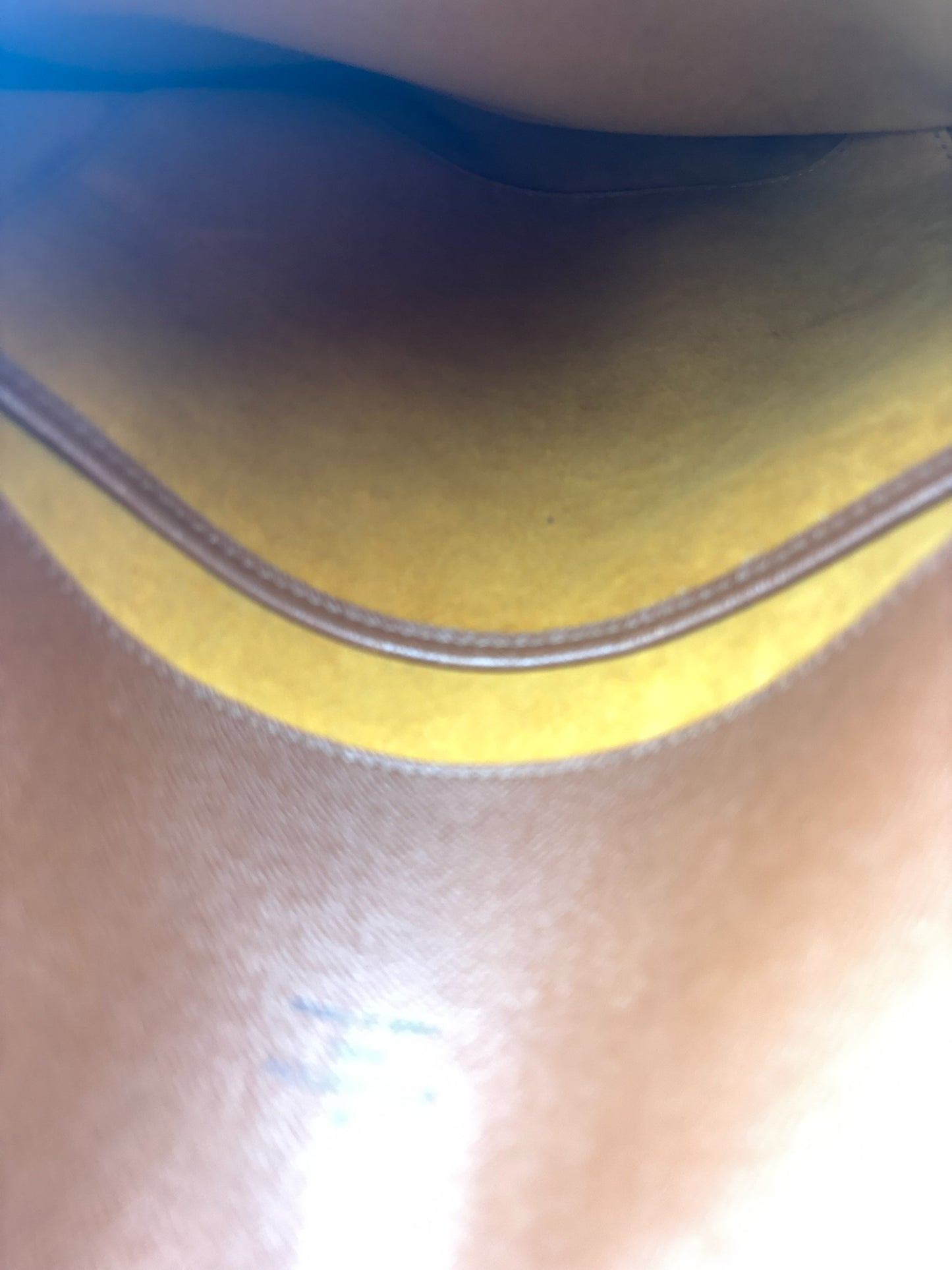 Louis Vuitton Monogram Musette