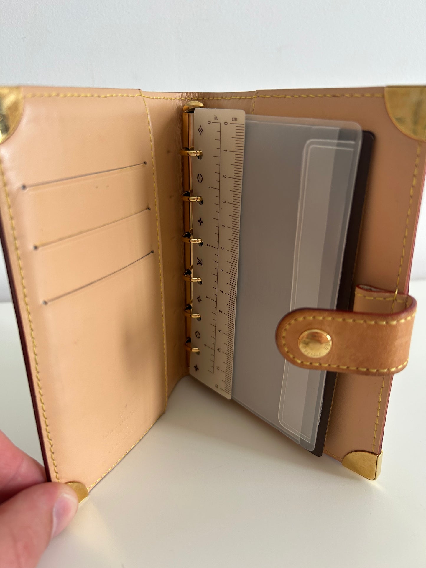 Louis Vuitton White Multicolore Agenda PM