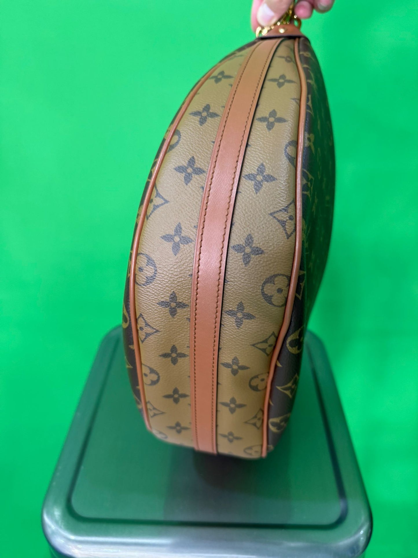 Louis Vuitton Monogram Loop Hobo Bag
