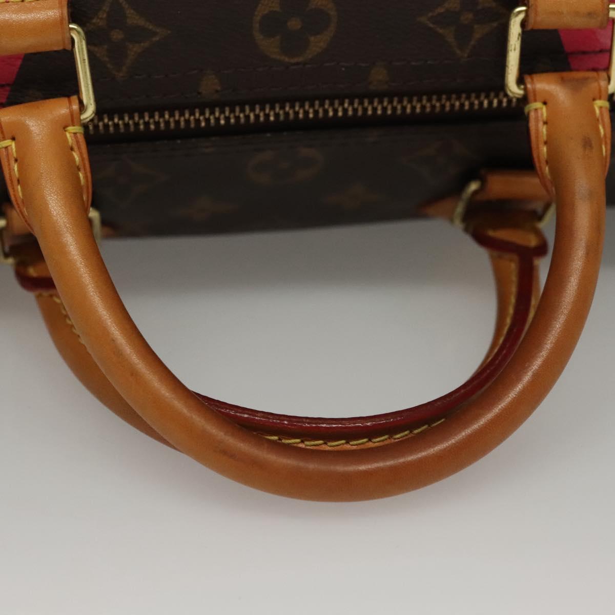 Pre-owned Louis Vuitton V Line Speedy 30 Bag (136293)