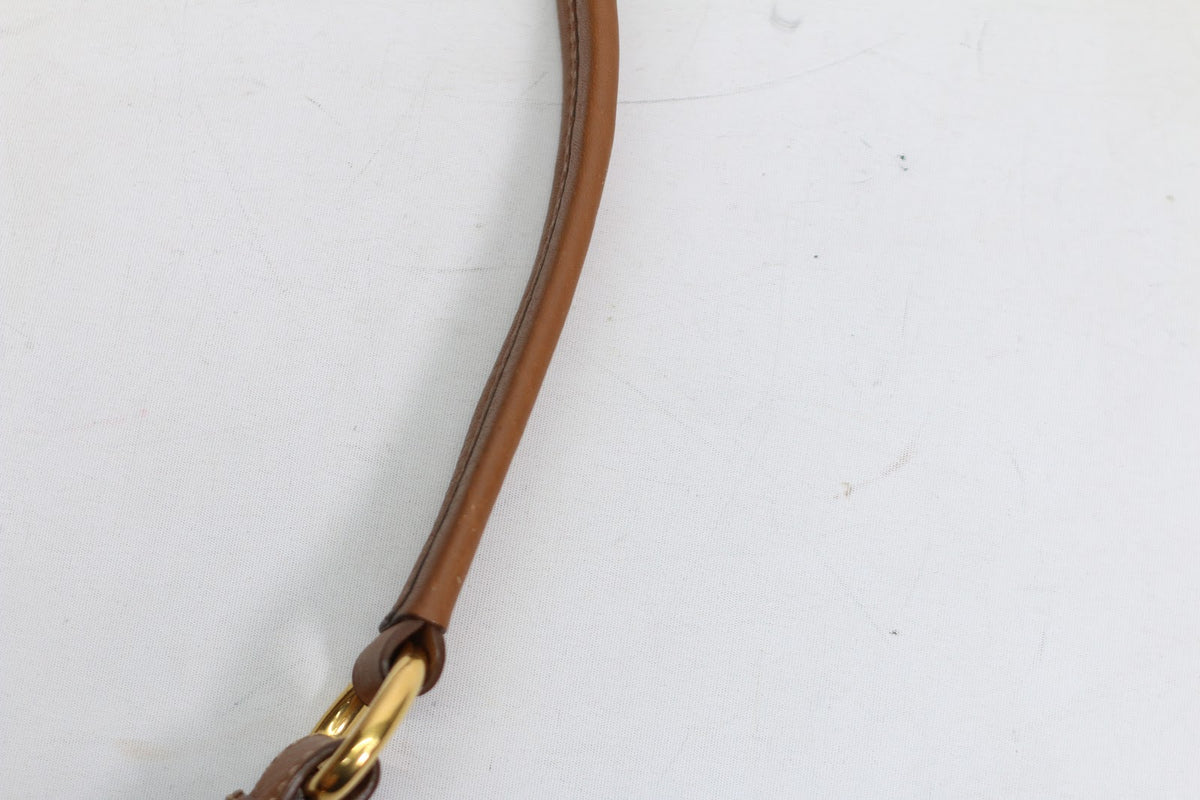 Prada Brown Vitello Daino Hobo ONE Shoulder Bag BR4863 (V167919)