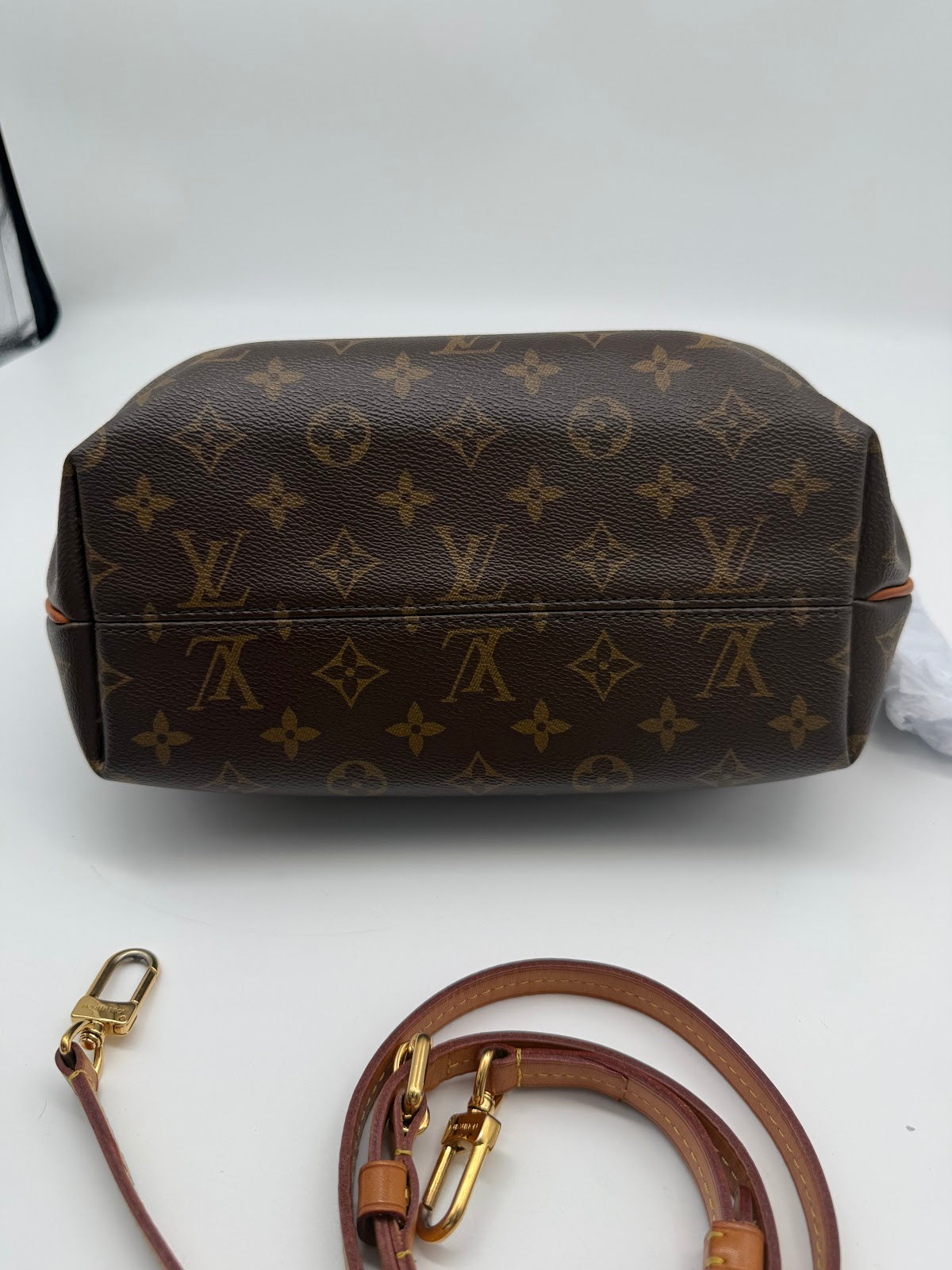 Louis Vuitton Monogram Small Dumpling Bag (BL1463)