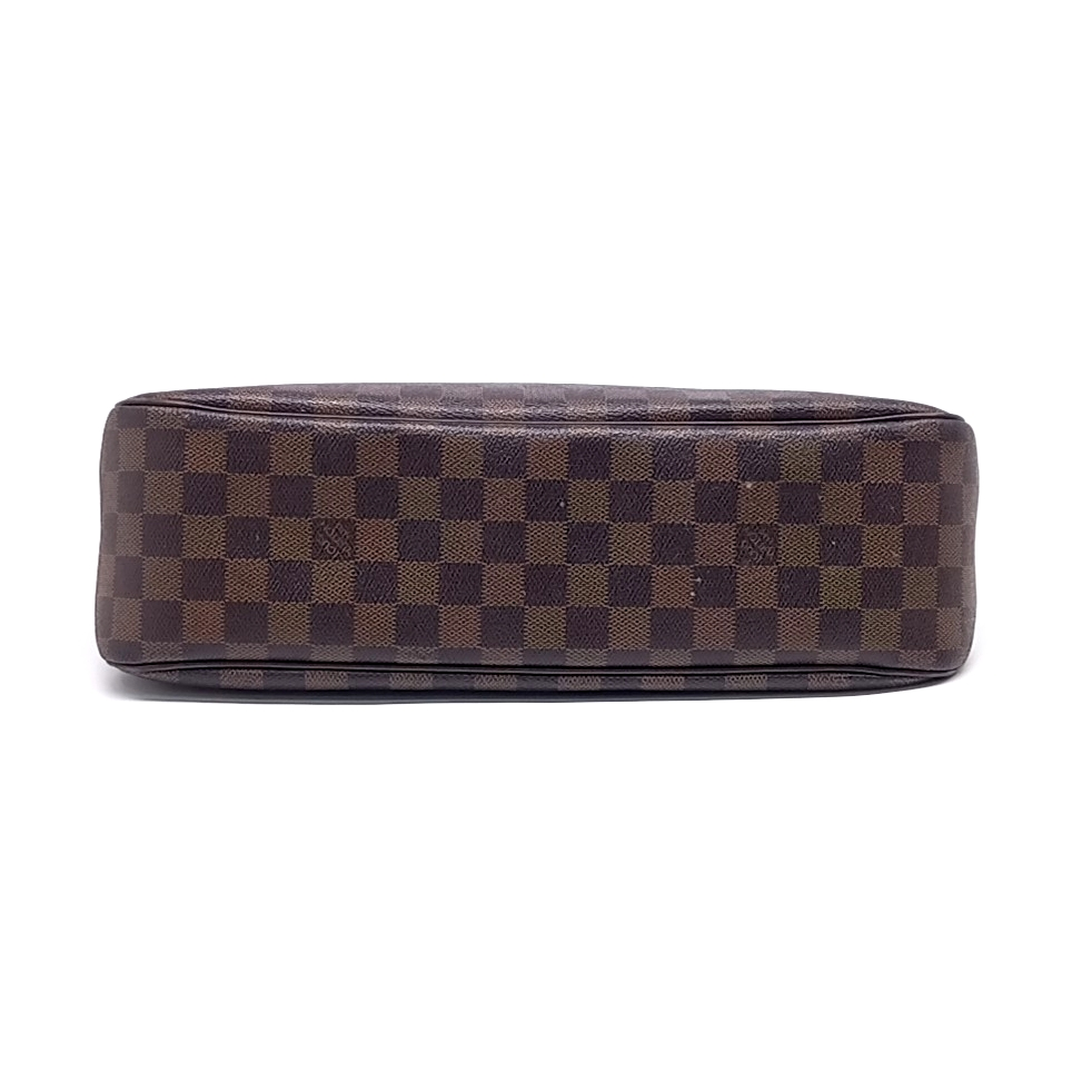 Louis Vuitton Damier Pariolli (10575909)