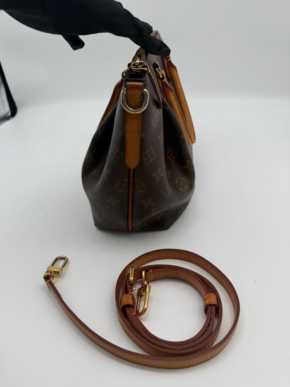 Louis Vuitton Monogram Small Dumpling Bag (BL1463)