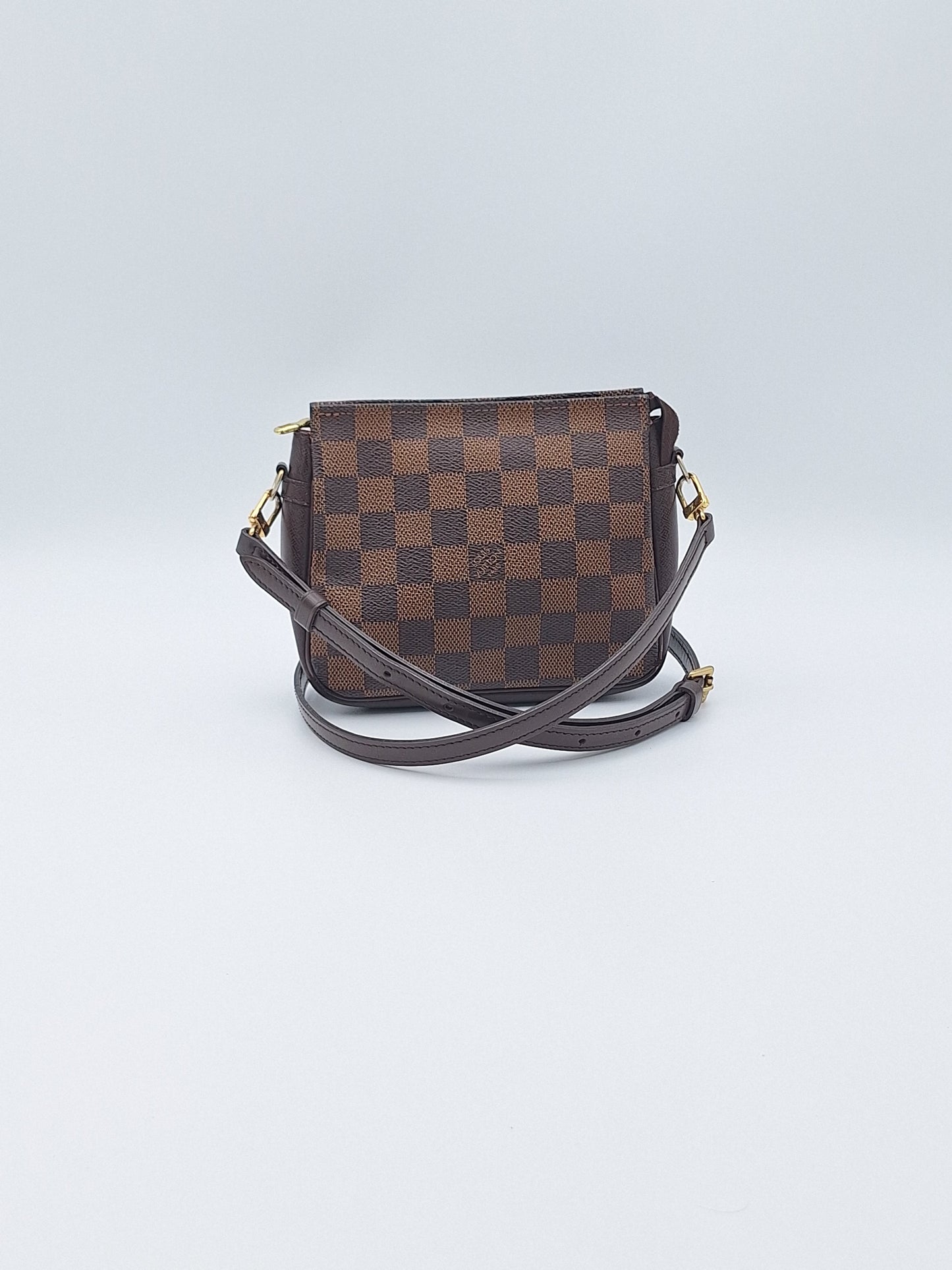 LOUIS VUITTON DAMIER TRUTH POUCH BAG & STRAP (US)