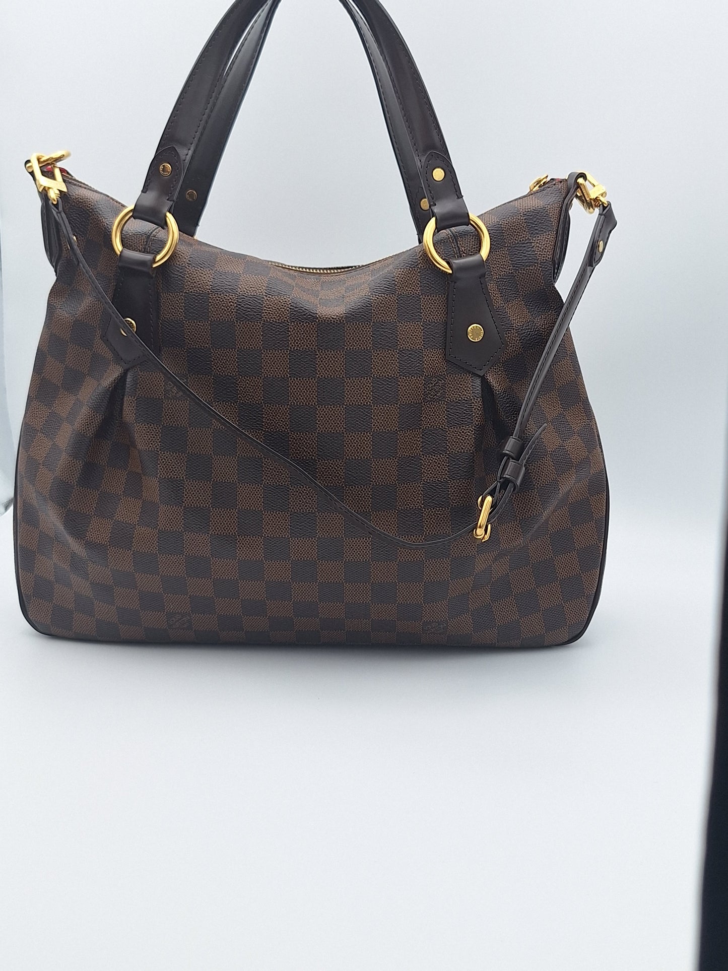 LOUIS VUITTON DAMIER EVORA MM N41131 (US)