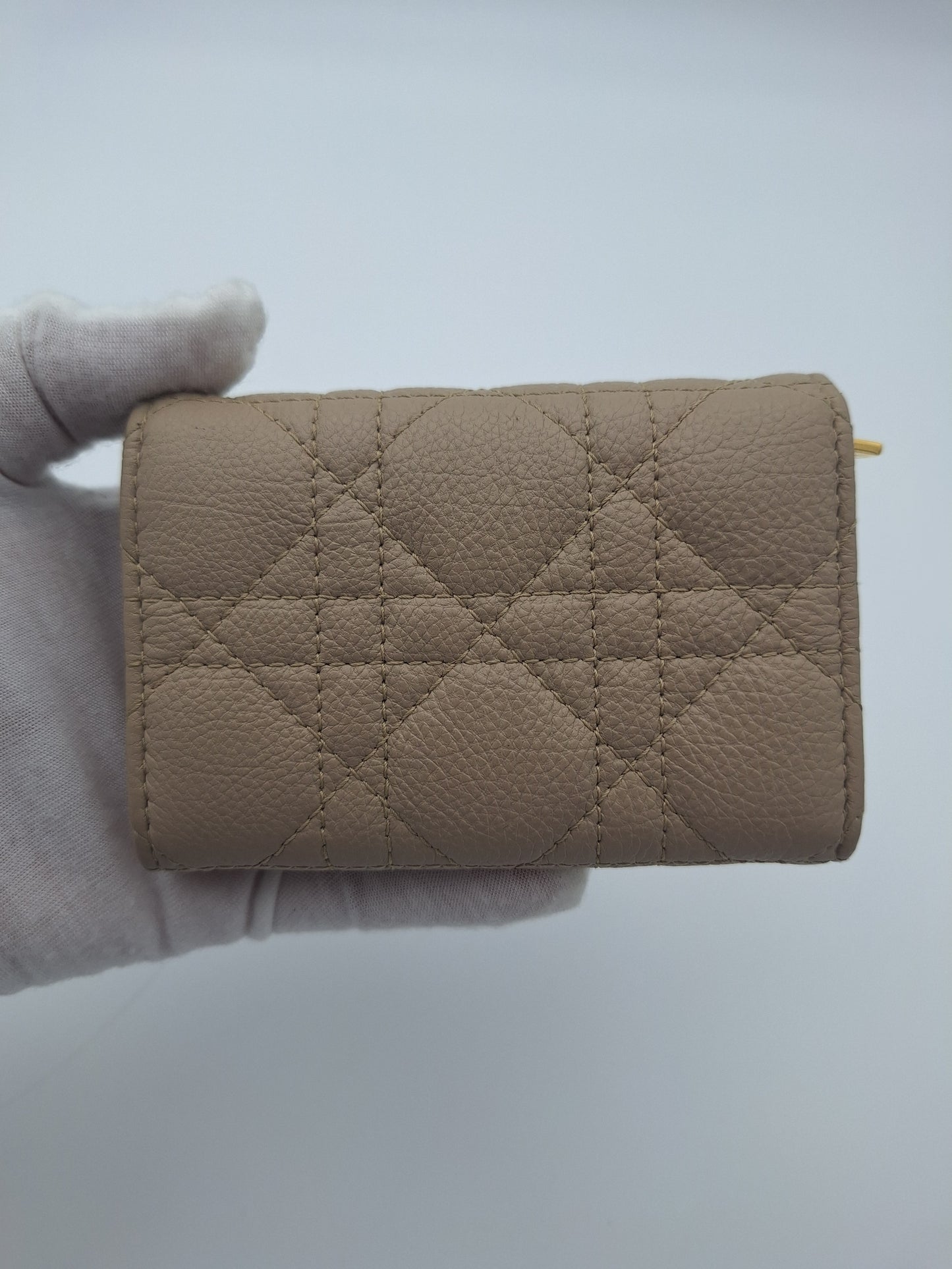 Dior Caro Glycine Wallet (US)