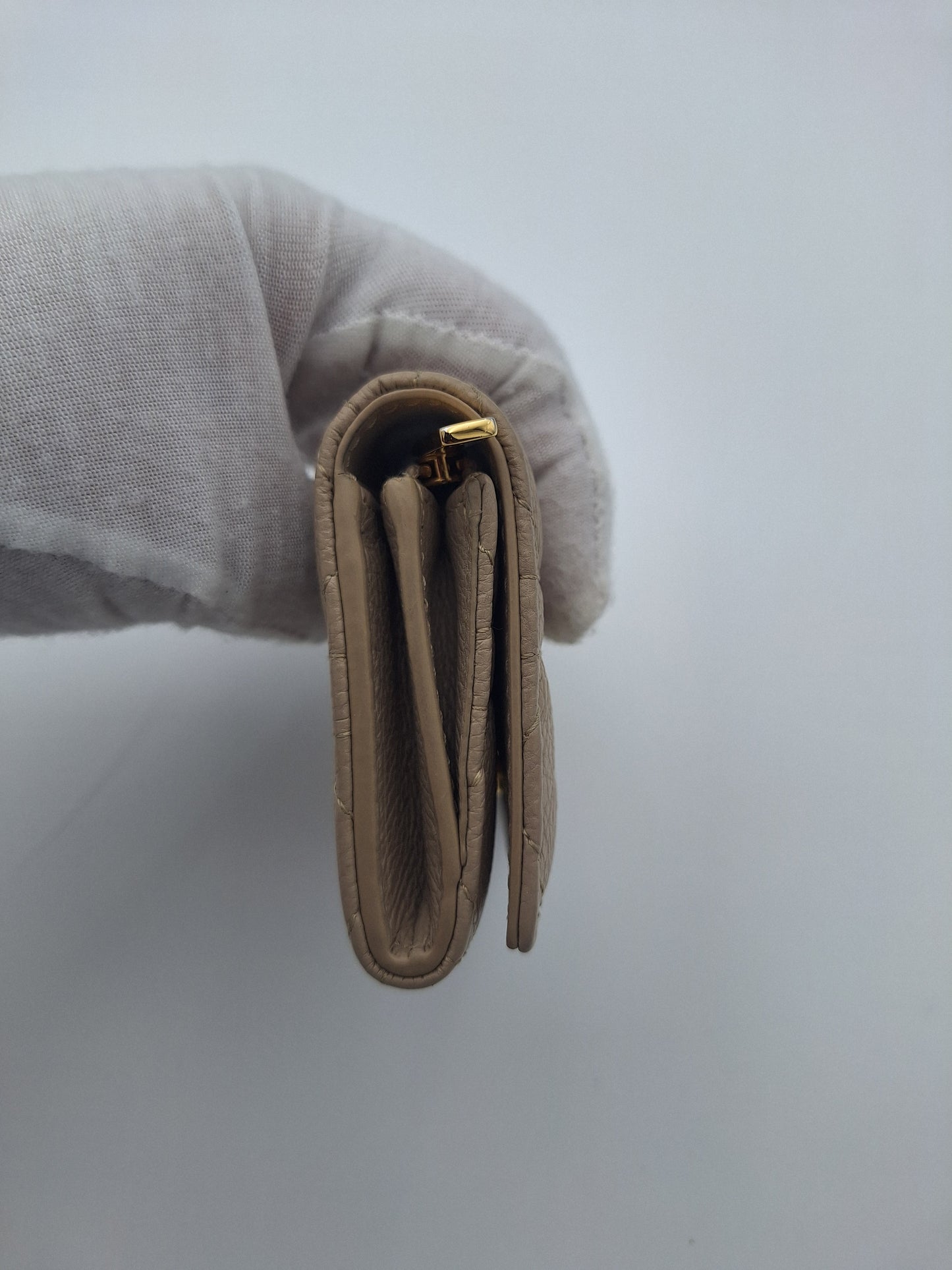Dior Caro Glycine Wallet (US)