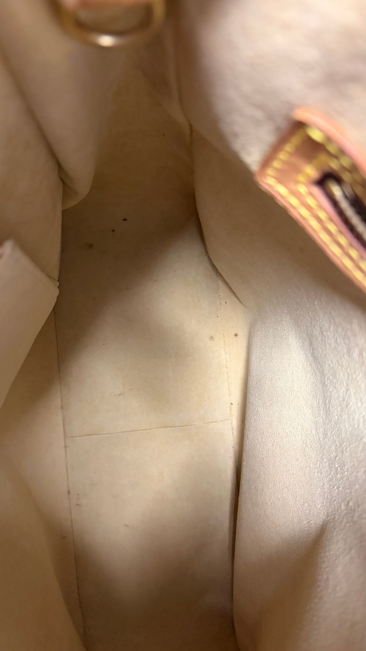 Louis Vuitton Monogram Looping Brown
