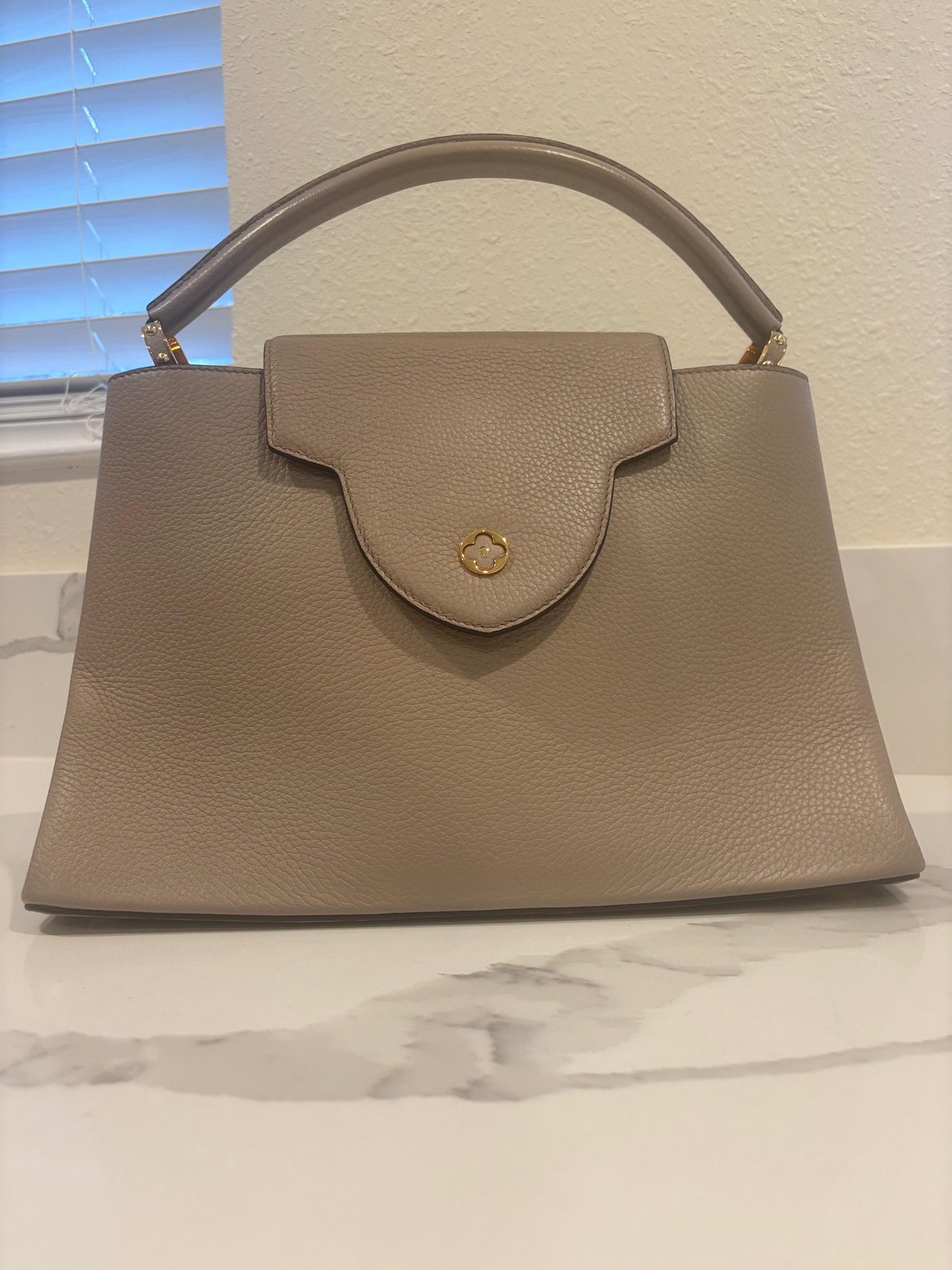Louis Vuitton Taurillon Capucines