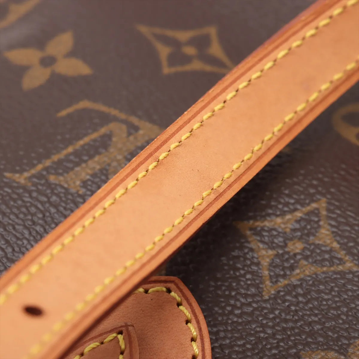 Pre-Owned Louis Vuitton Monogram Bucket PM SB06-968