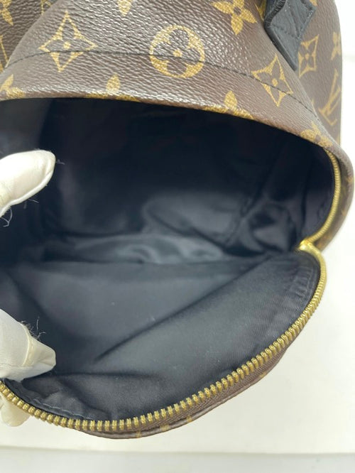 Louis Vuitton Palm Springs Backpack