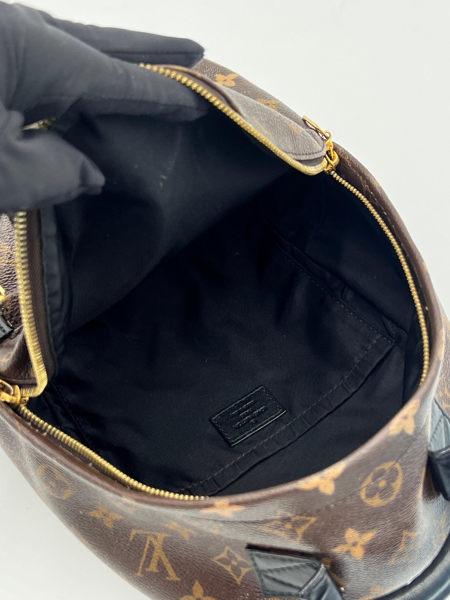 Palm Springs Backpack - Louis Vuitton