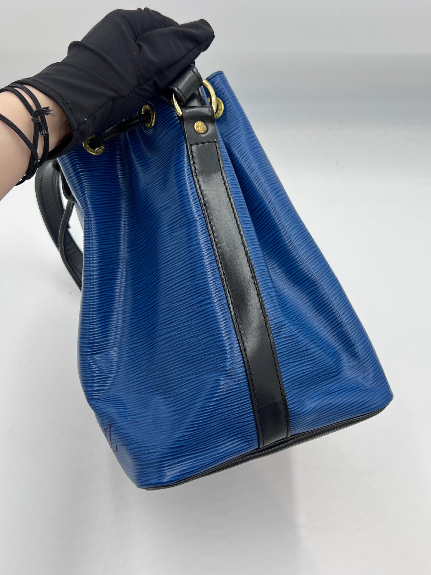 Louis Vuitton Noé Epi Bicolor