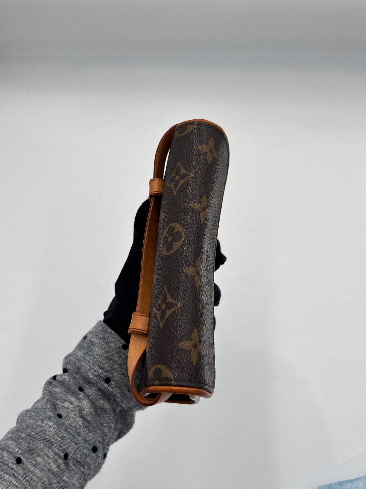 Louis Vuitton Pochette Florentine (AH037)