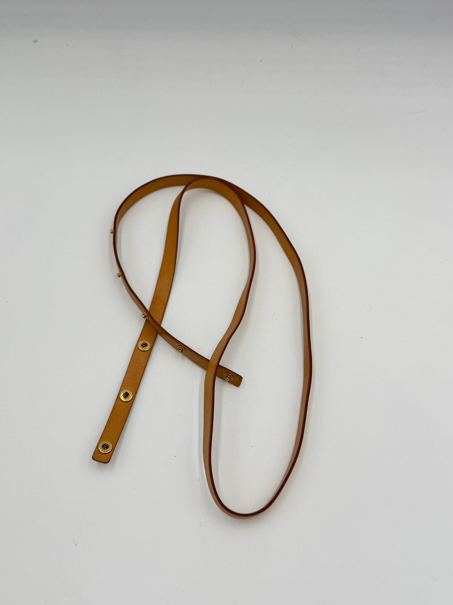 Louis Vuitton Pochette Florentine M
