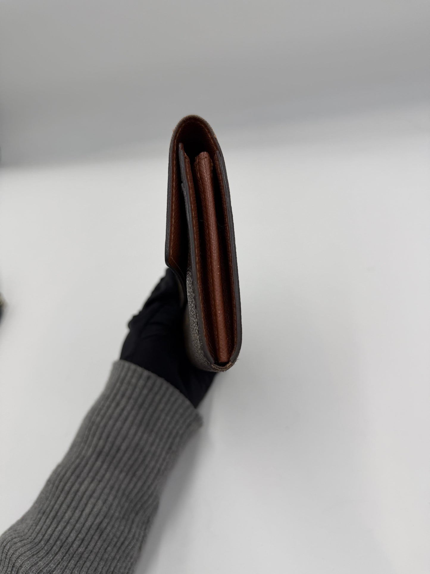 Louis Vuitton Sarah Wallet (AI841)