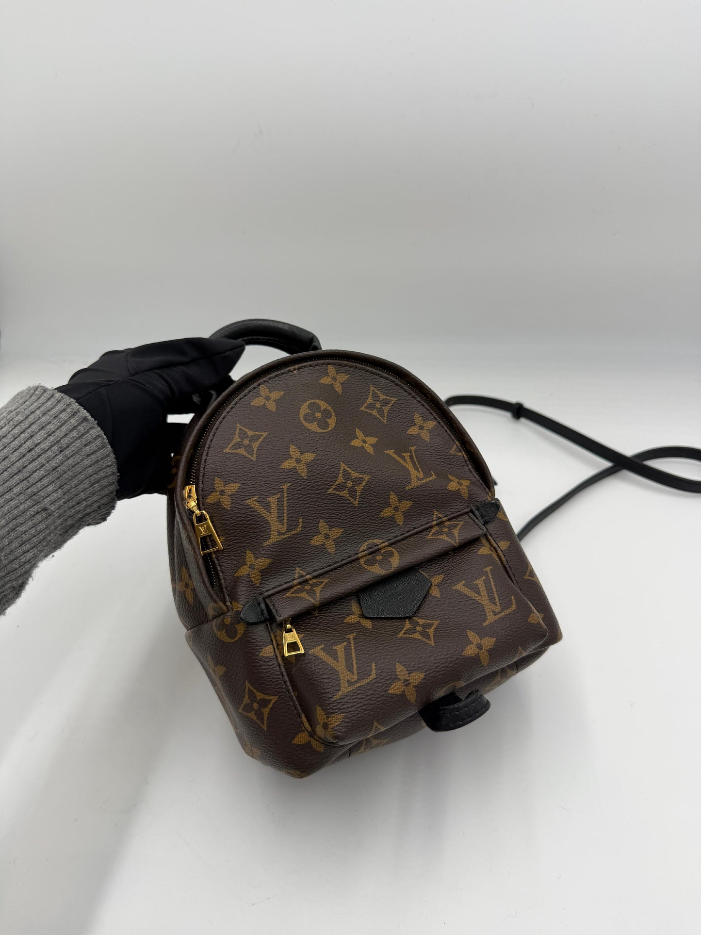 Pre-owned Louis Vuitton Monogram Palm Springs AJ458