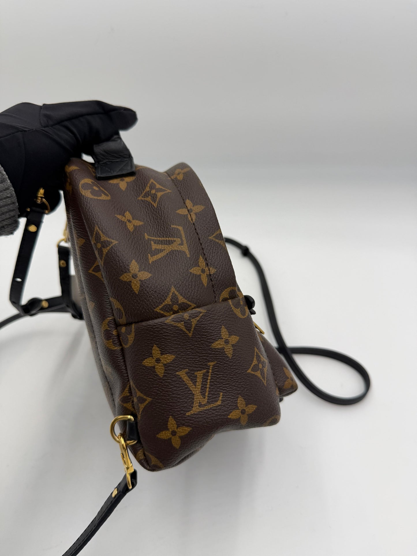 Pre-owned Louis Vuitton Monogram Palm Springs AJ458