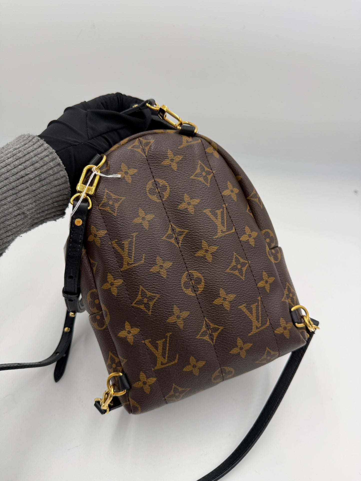 Pre-owned Louis Vuitton Monogram Palm Springs AJ458