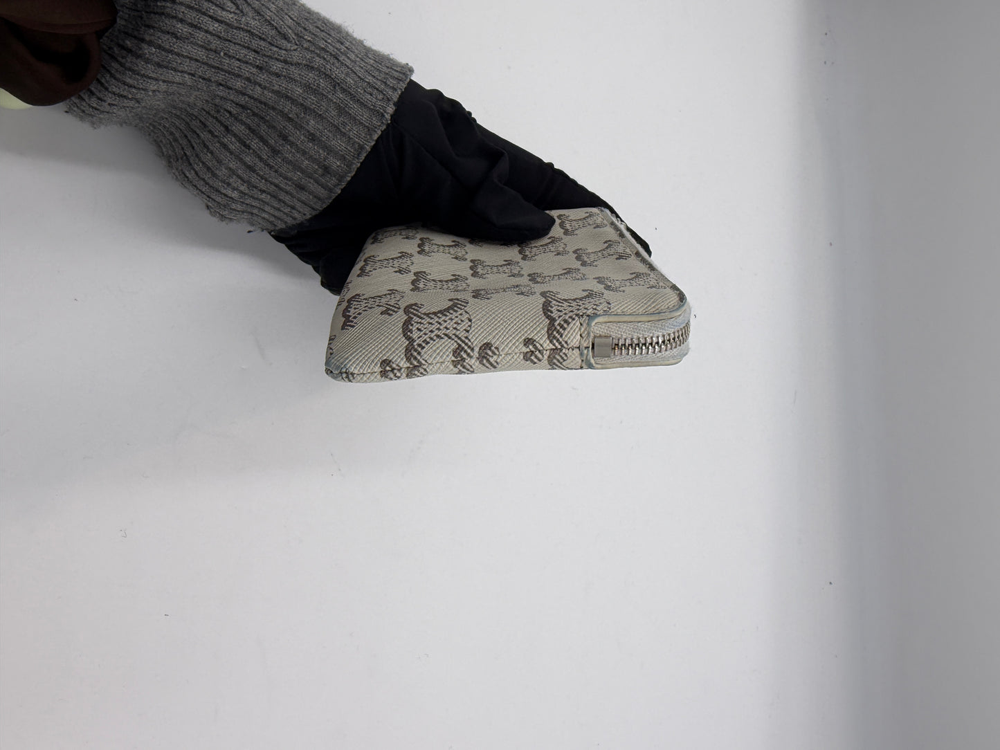 Celine Triomphe Coin Case