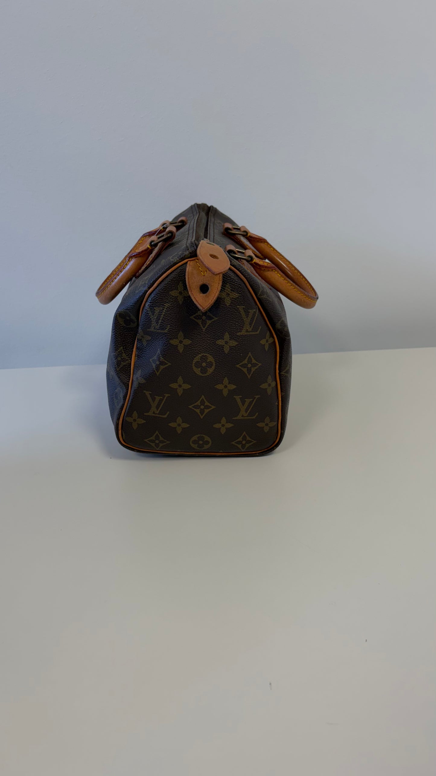 Louis Vuitton Speedy 25 Monogram