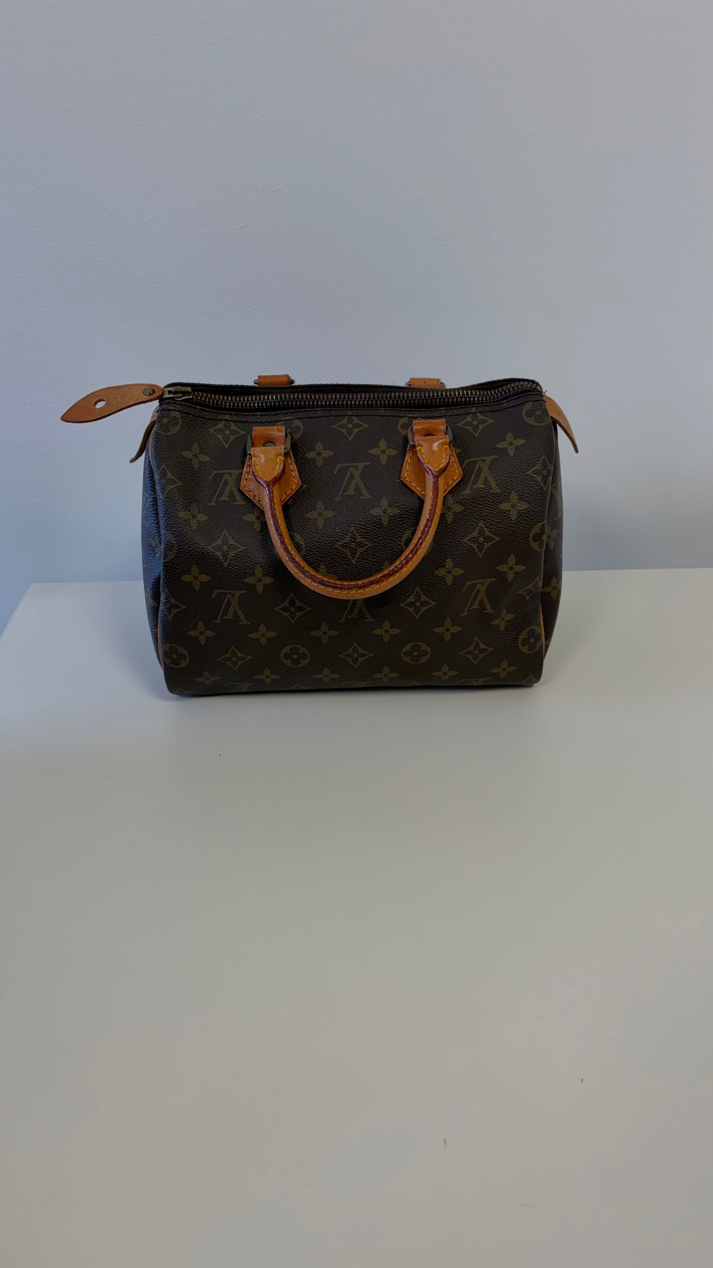 Louis Vuitton Speedy 25 Monogram