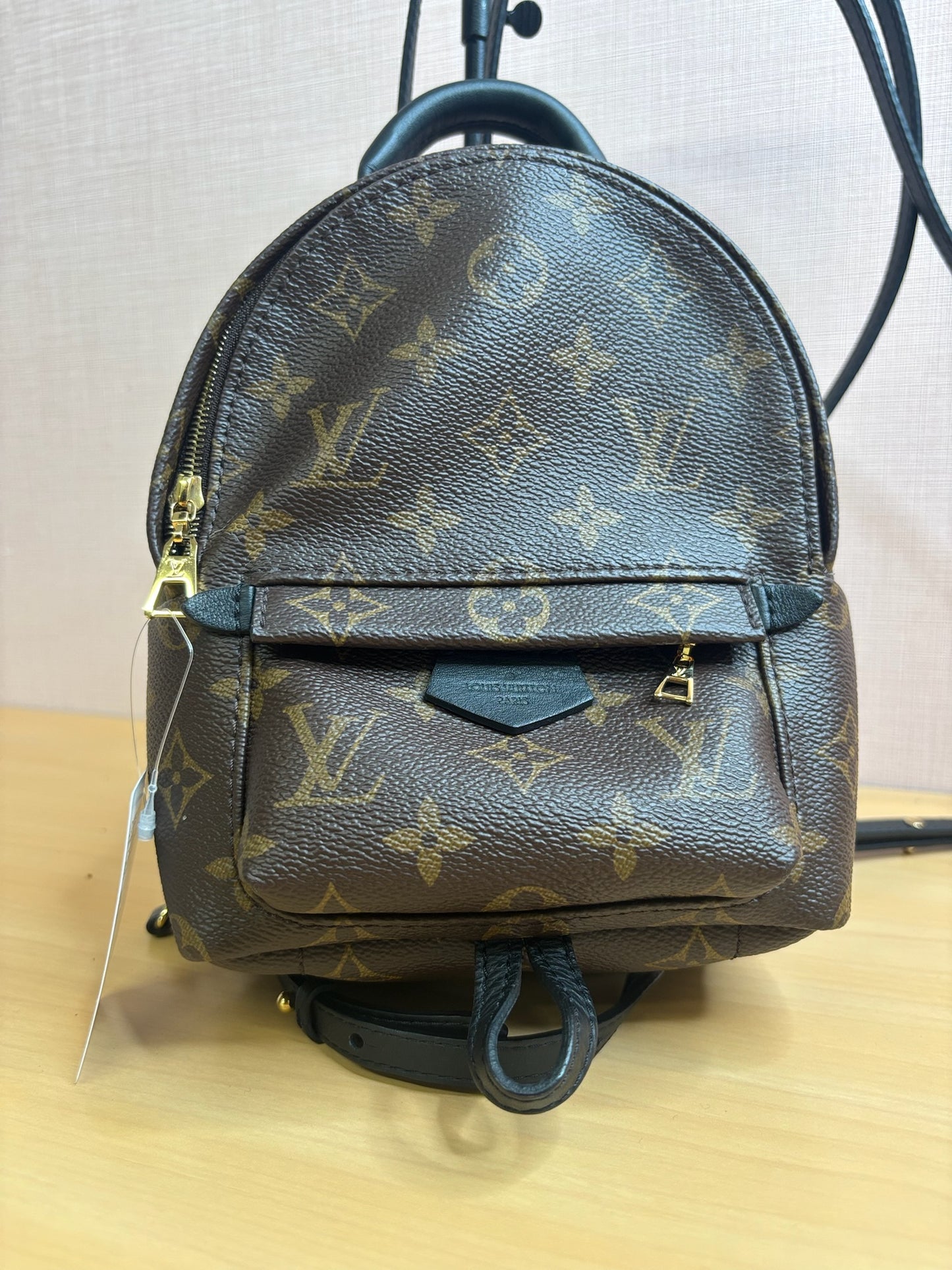 Louis Vuitton Palm Springs Mini Backpack