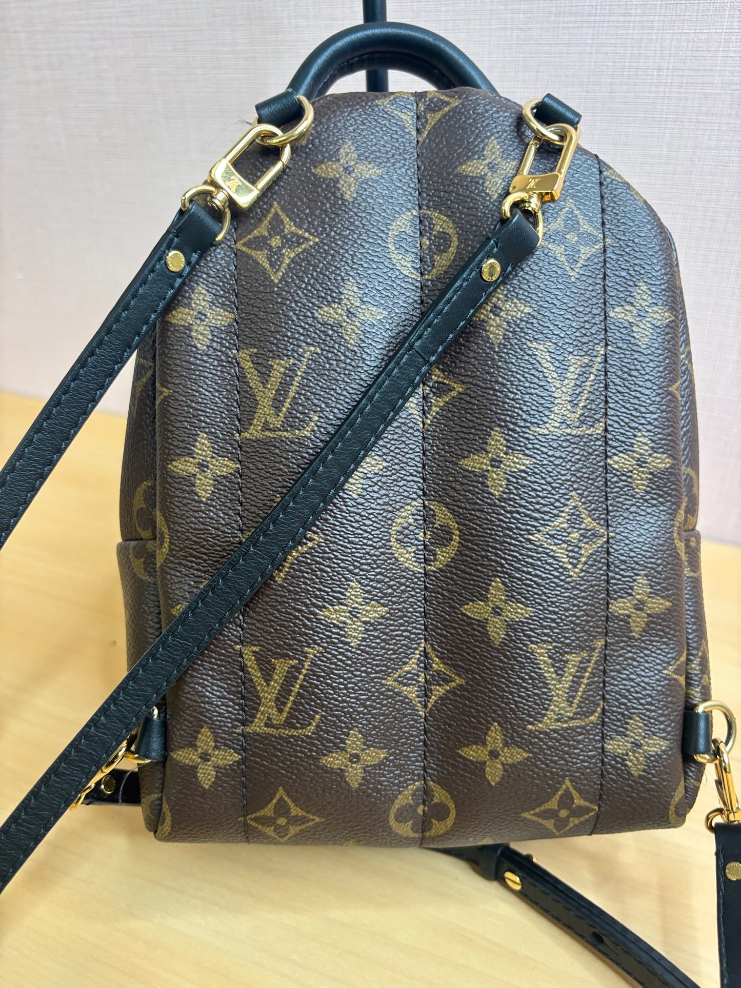 Louis Vuitton Palm Springs Mini Backpack