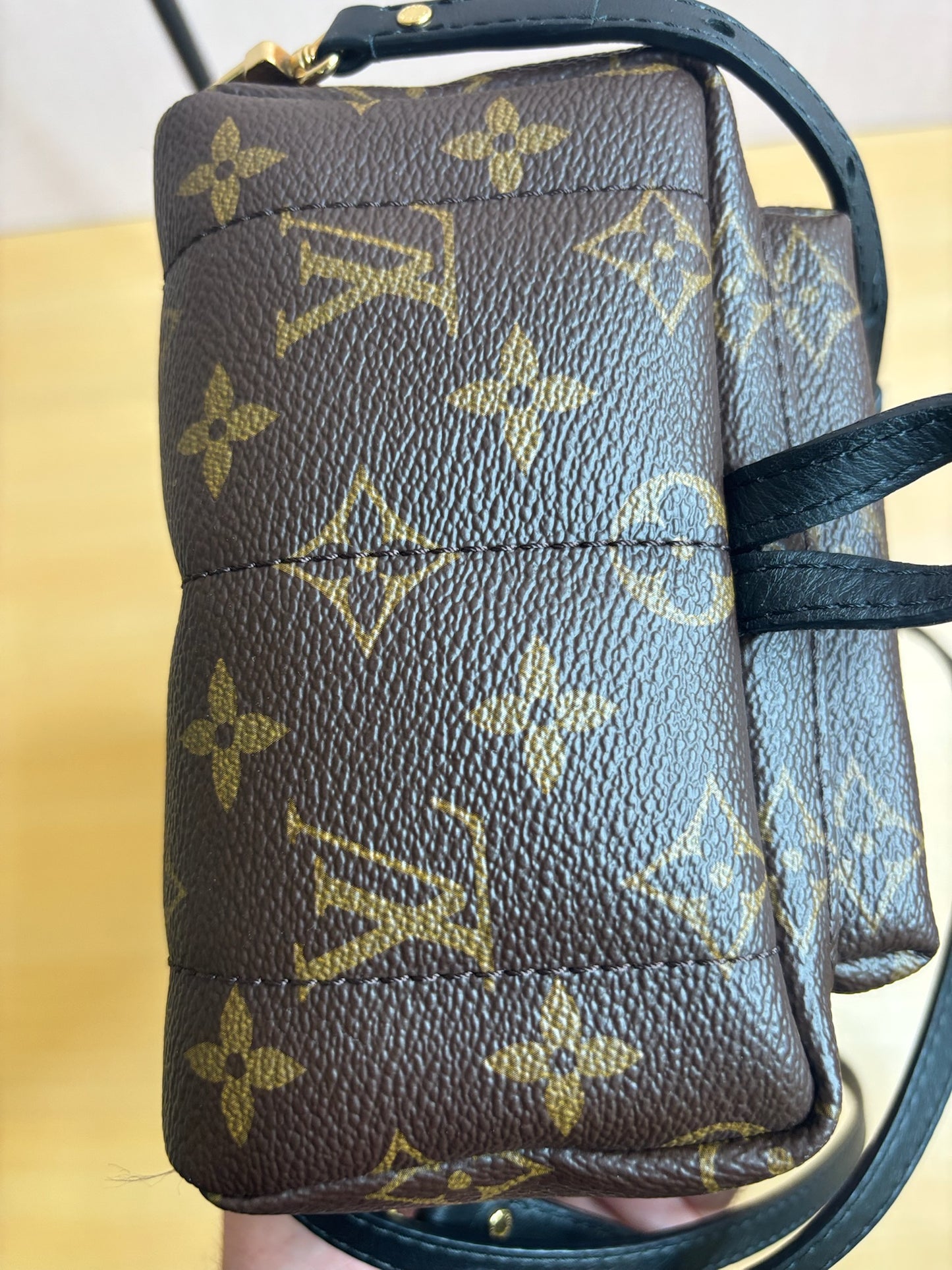 Louis Vuitton Palm Springs Mini Backpack