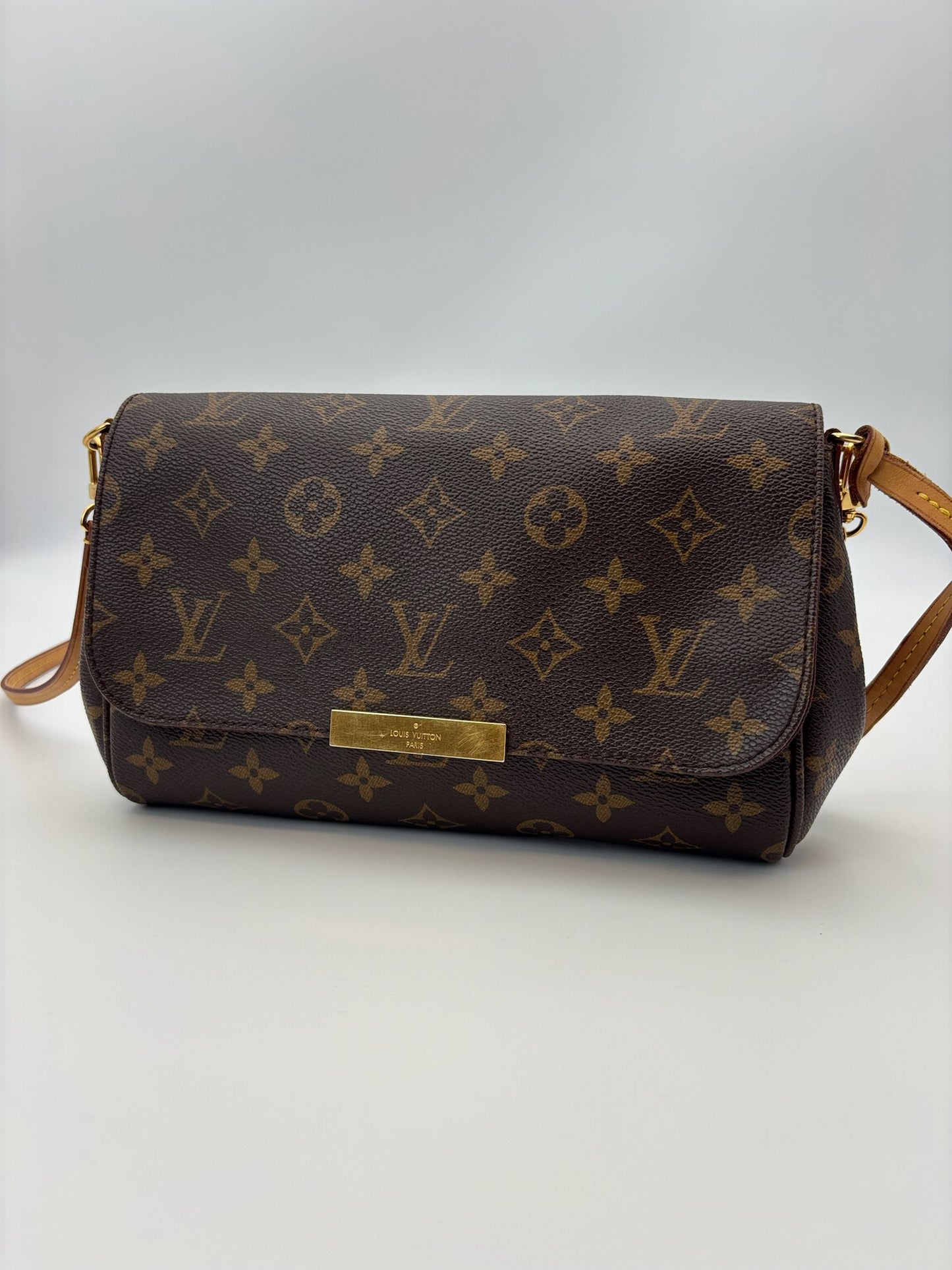 Louis Vuitton Favorite MM Bag