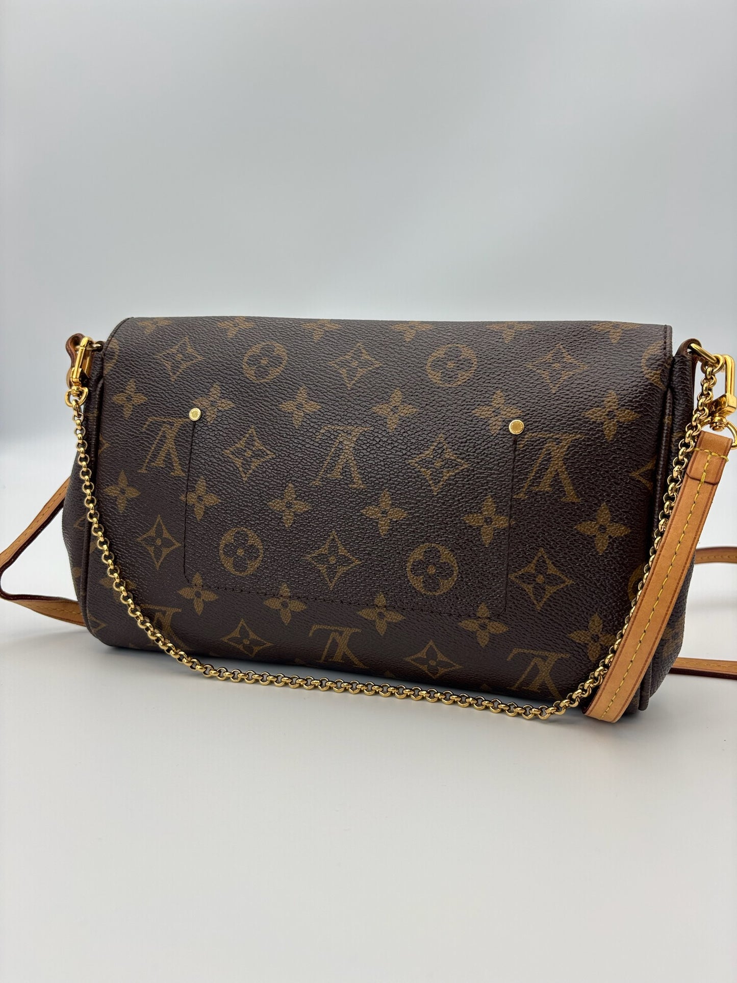 Louis Vuitton Favorite MM Bag