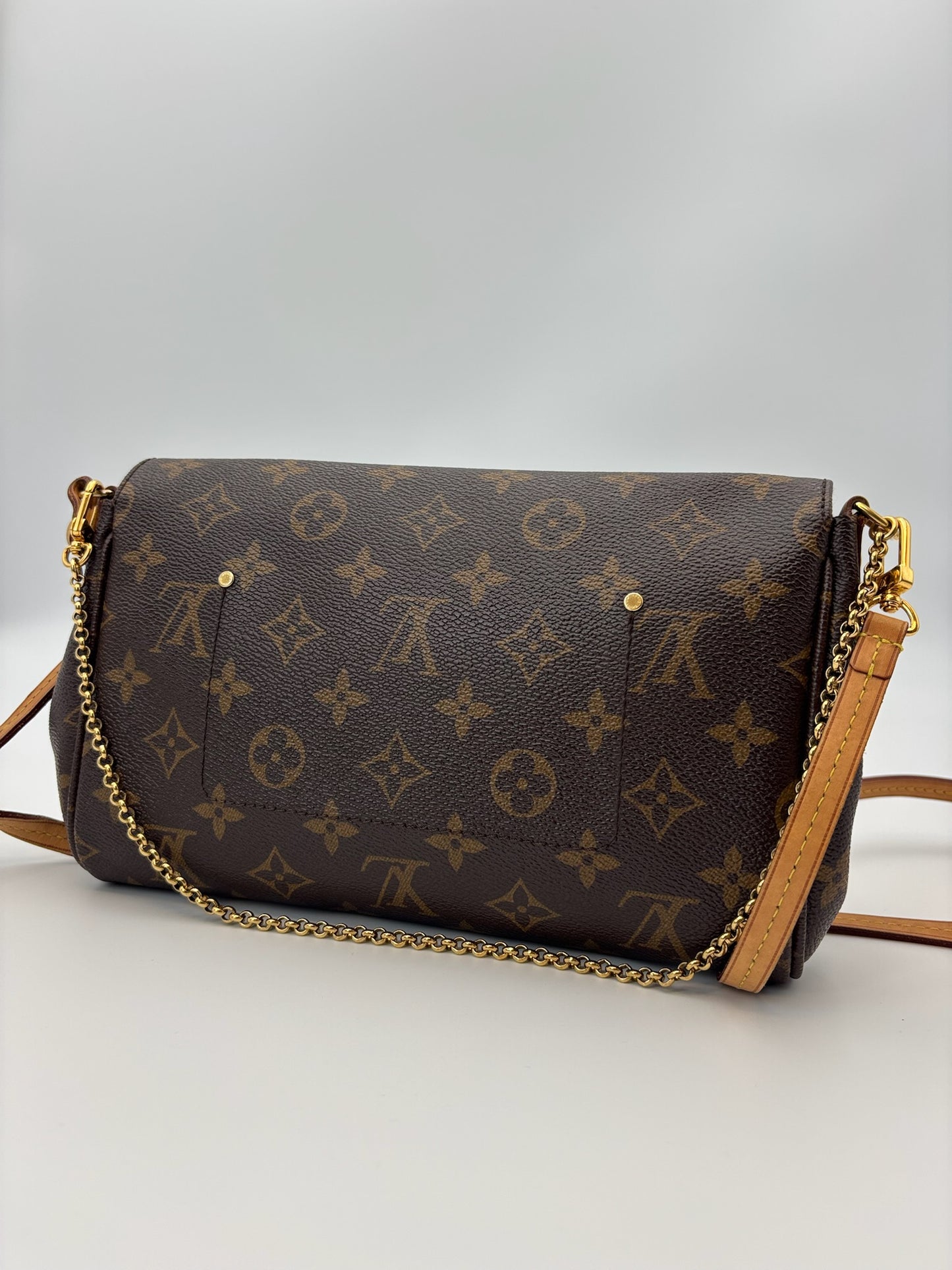 Louis Vuitton Favorite MM Bag