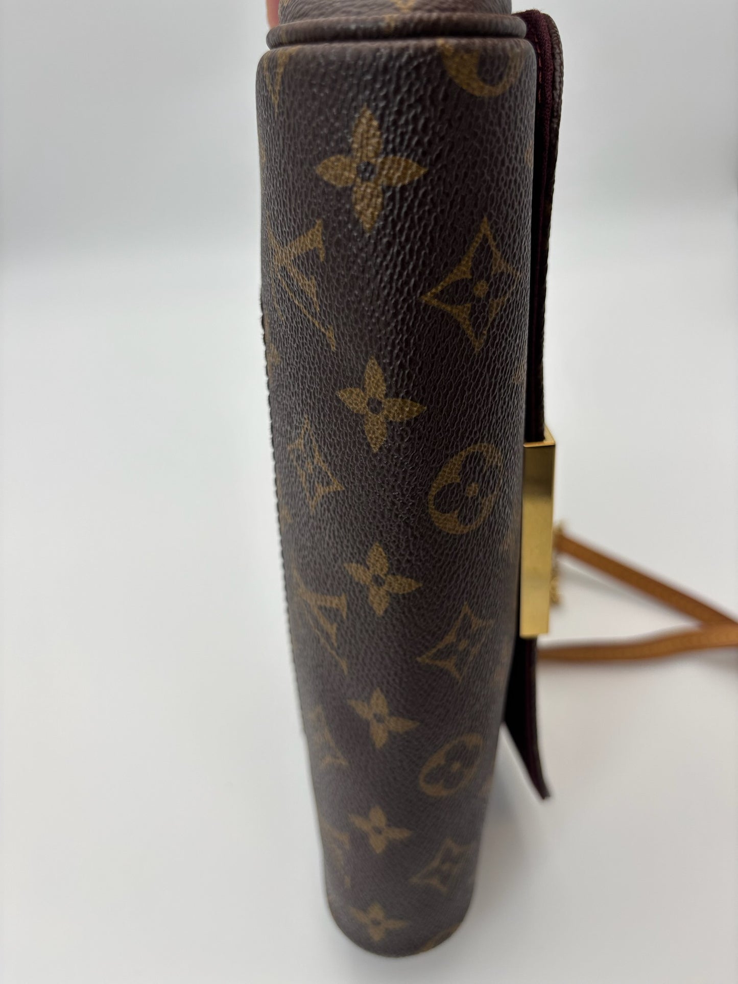 Louis Vuitton Favorite MM Bag