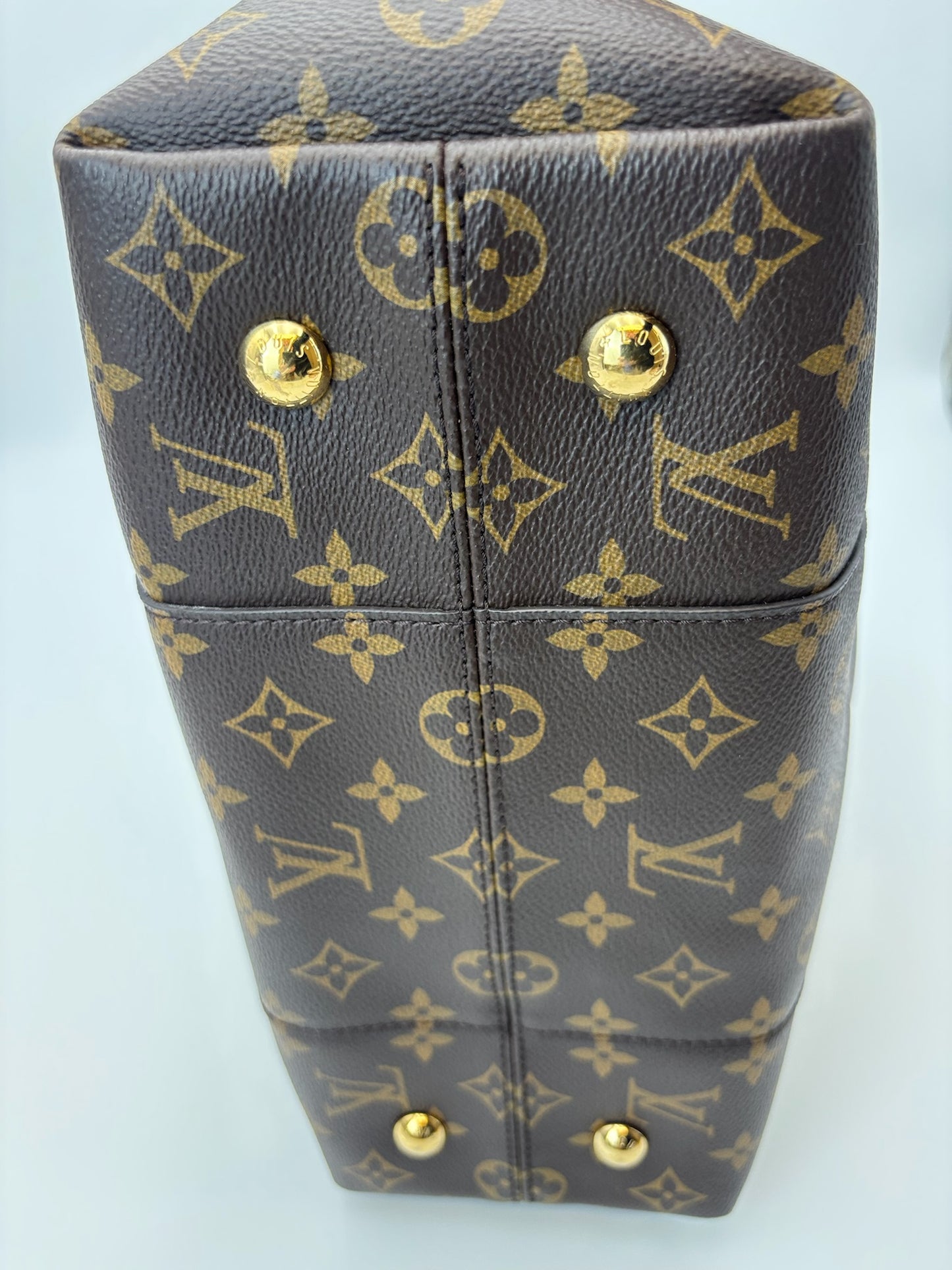 Louis Vuitton Melie Hobo Bag