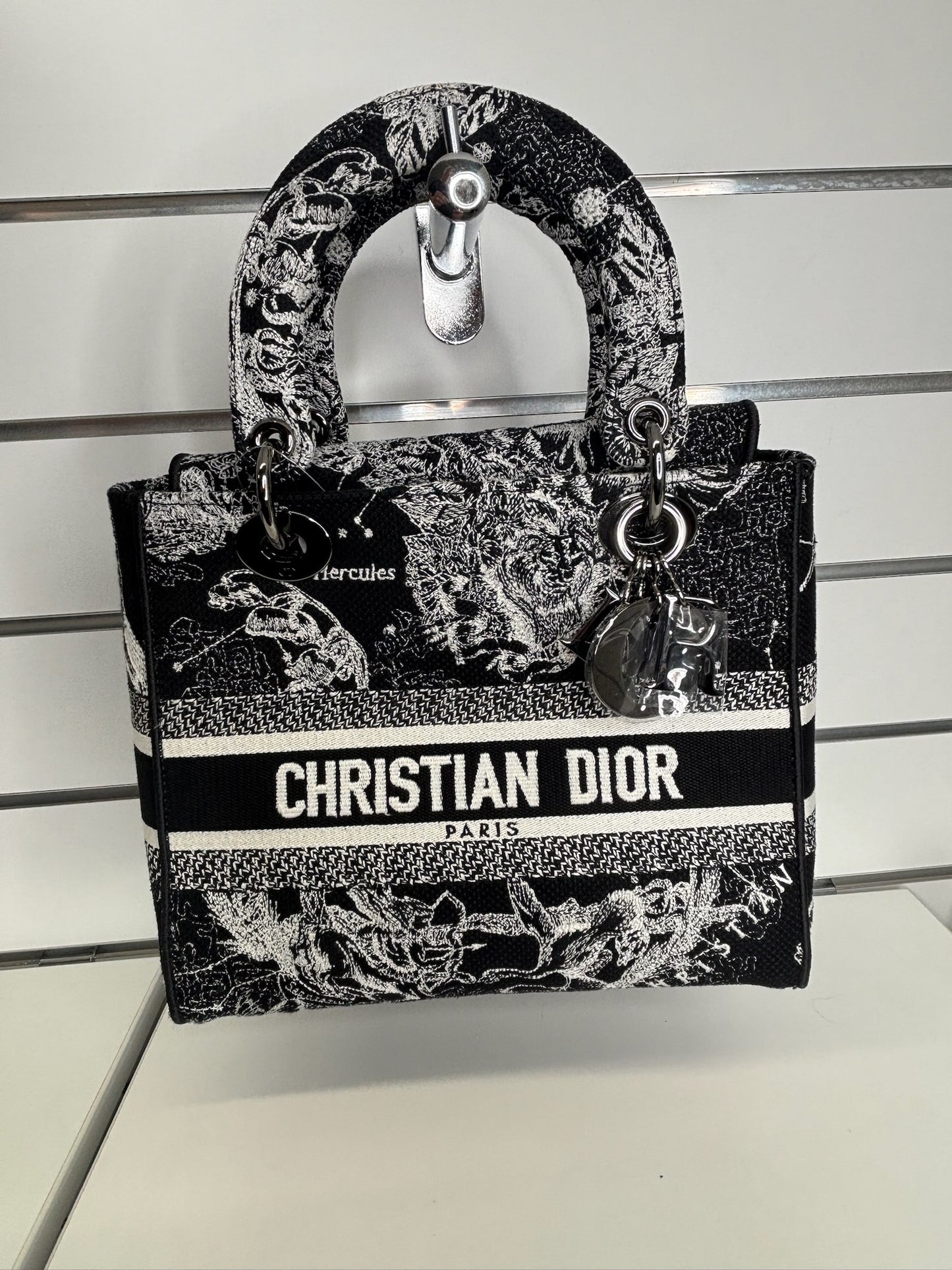Christian Dior Lady D-Lite Bag (JP)