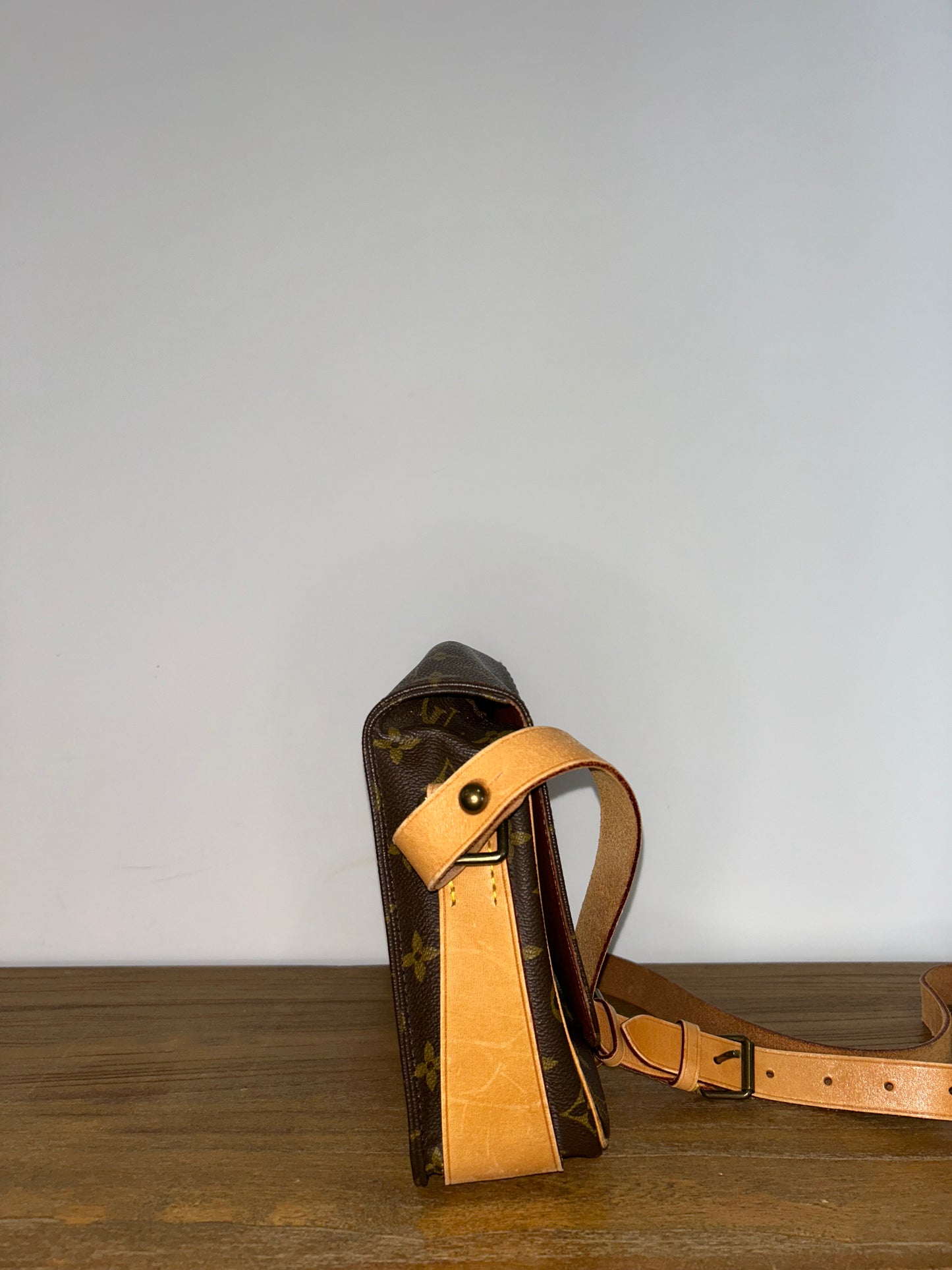 Louis Vuitton Monogram Cartouchiere Satchel Bag
