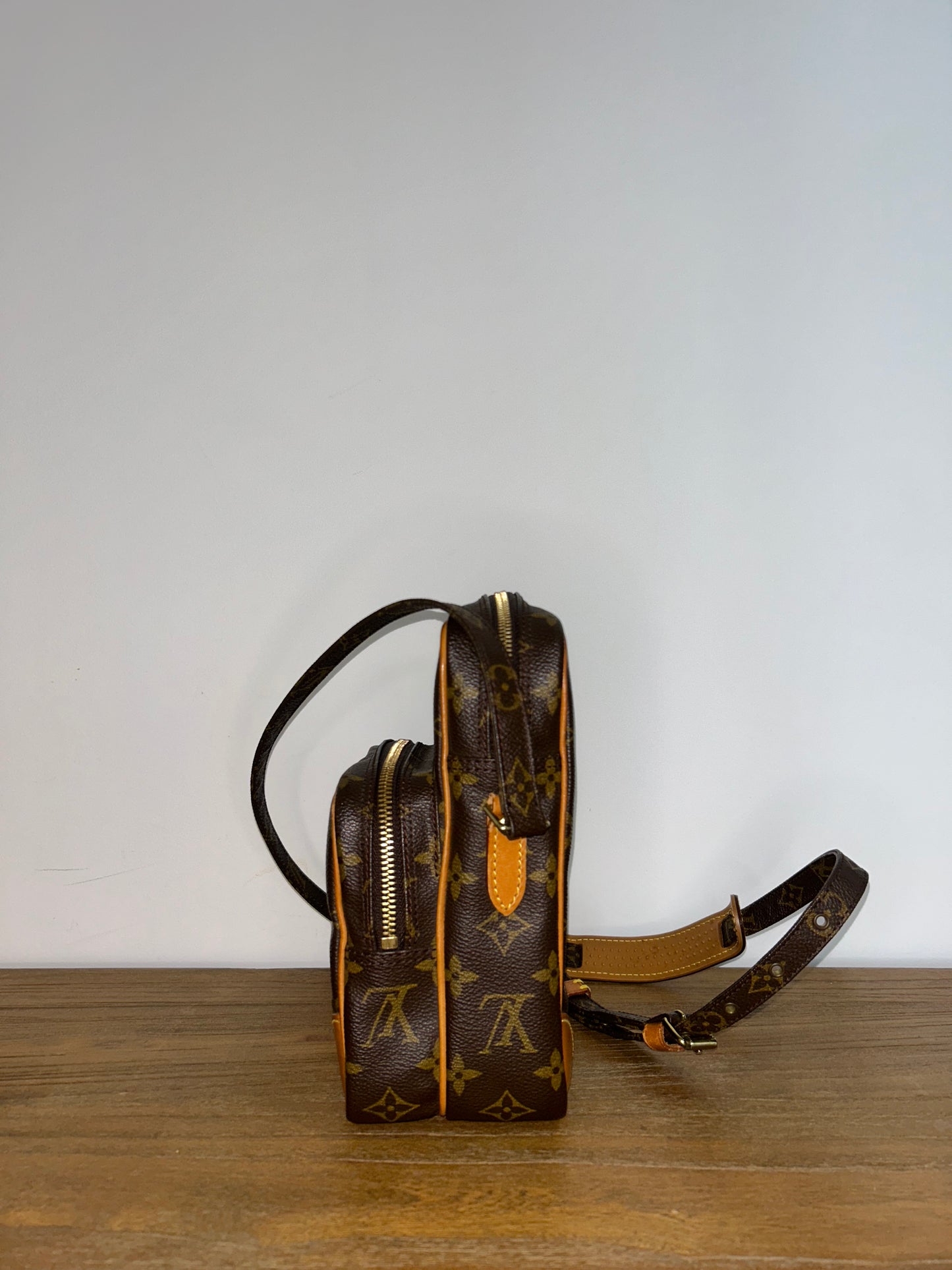 Louis Vuitton Monogram Amazon Crossbody Bag