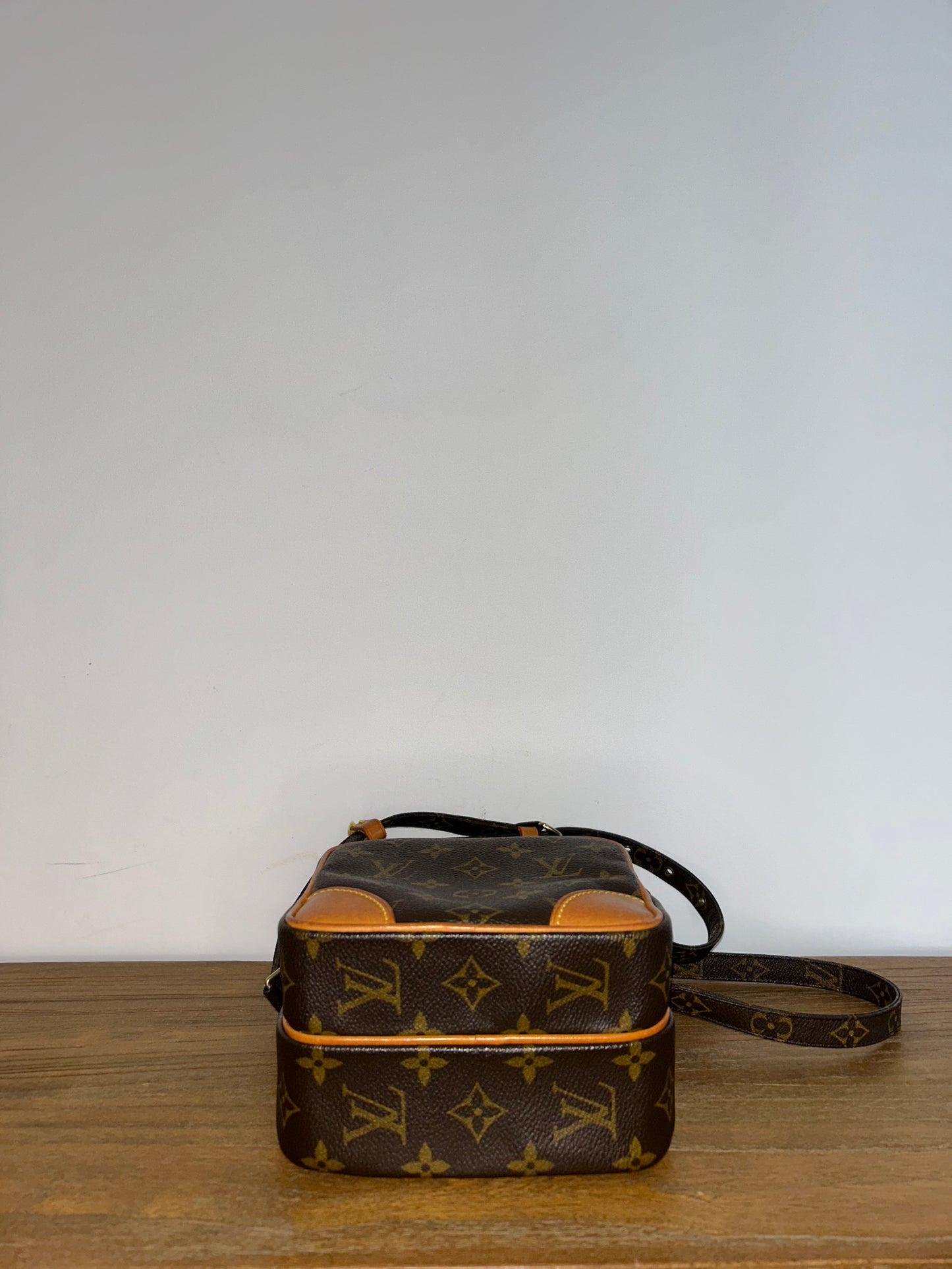 Louis Vuitton Monogram Amazon Crossbody Bag