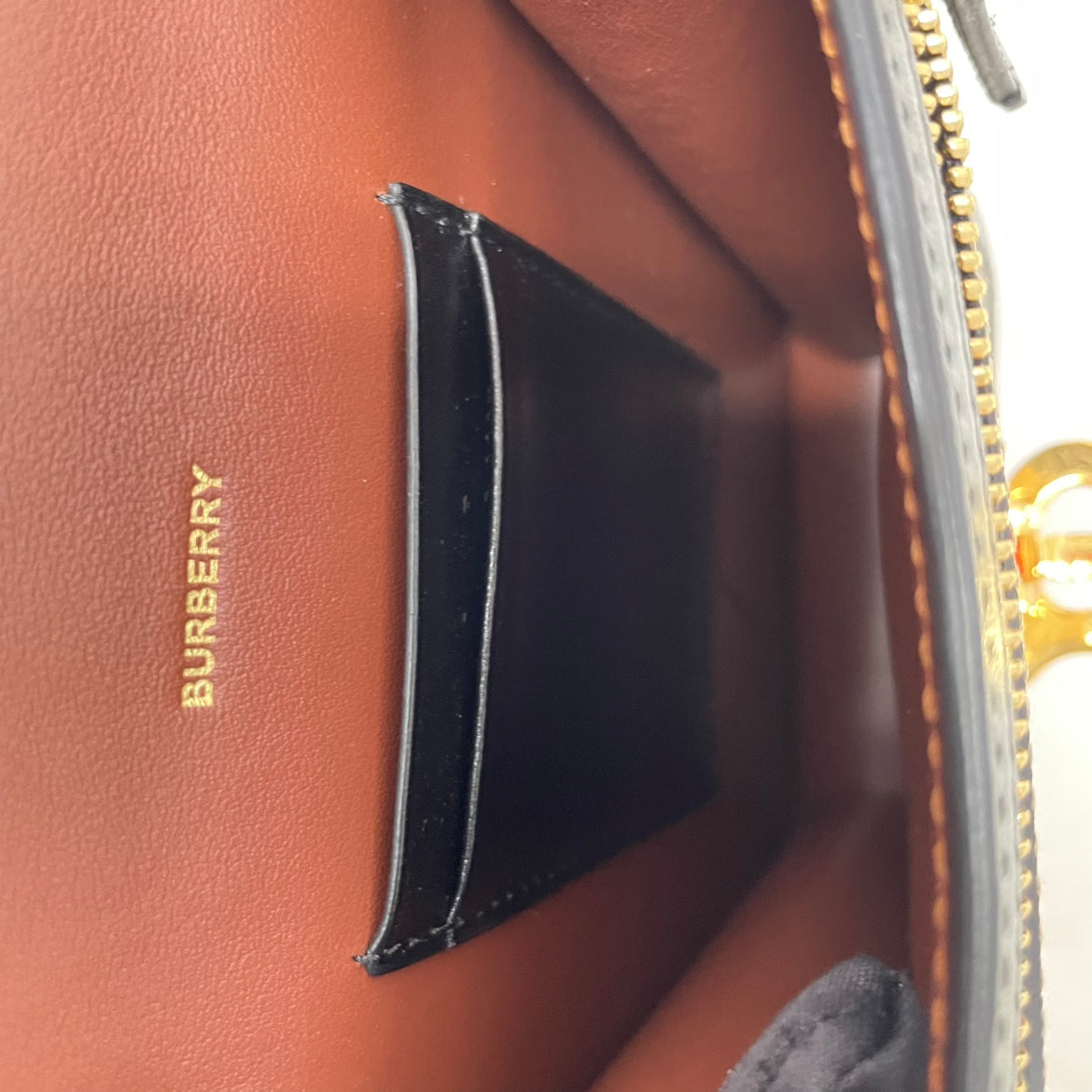 Burberry Brown PVC TB Monogram Robin Mini Crossbody Bag 8030427