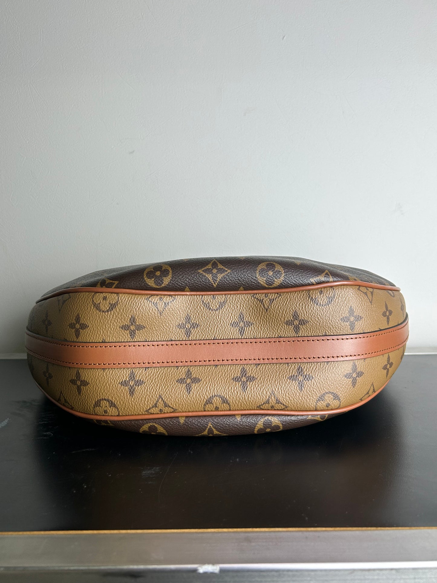 Louis Vuitton Monogram Loop Hobo bag