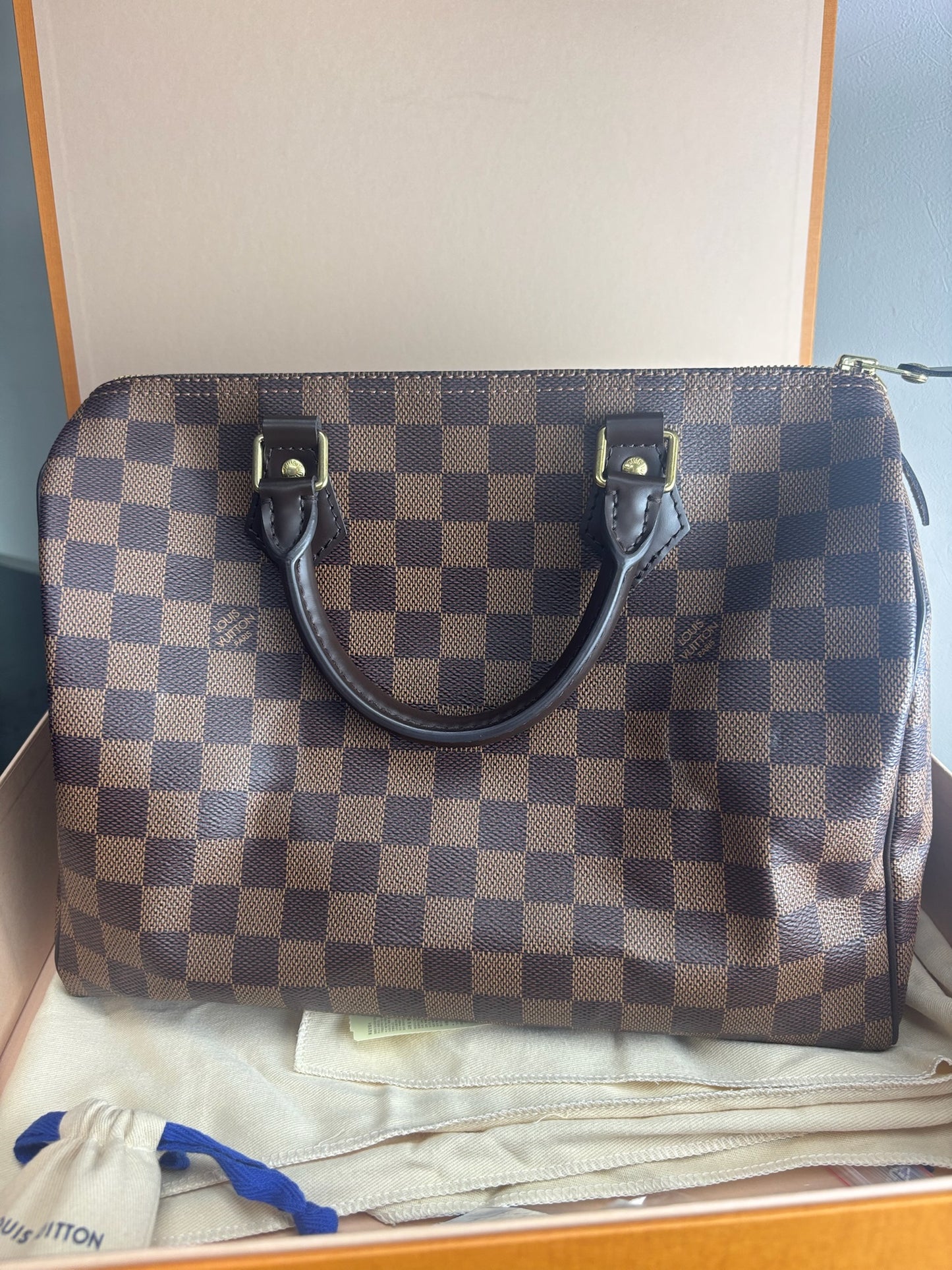 Louis Vuitton Damier Ebene Speedy 30