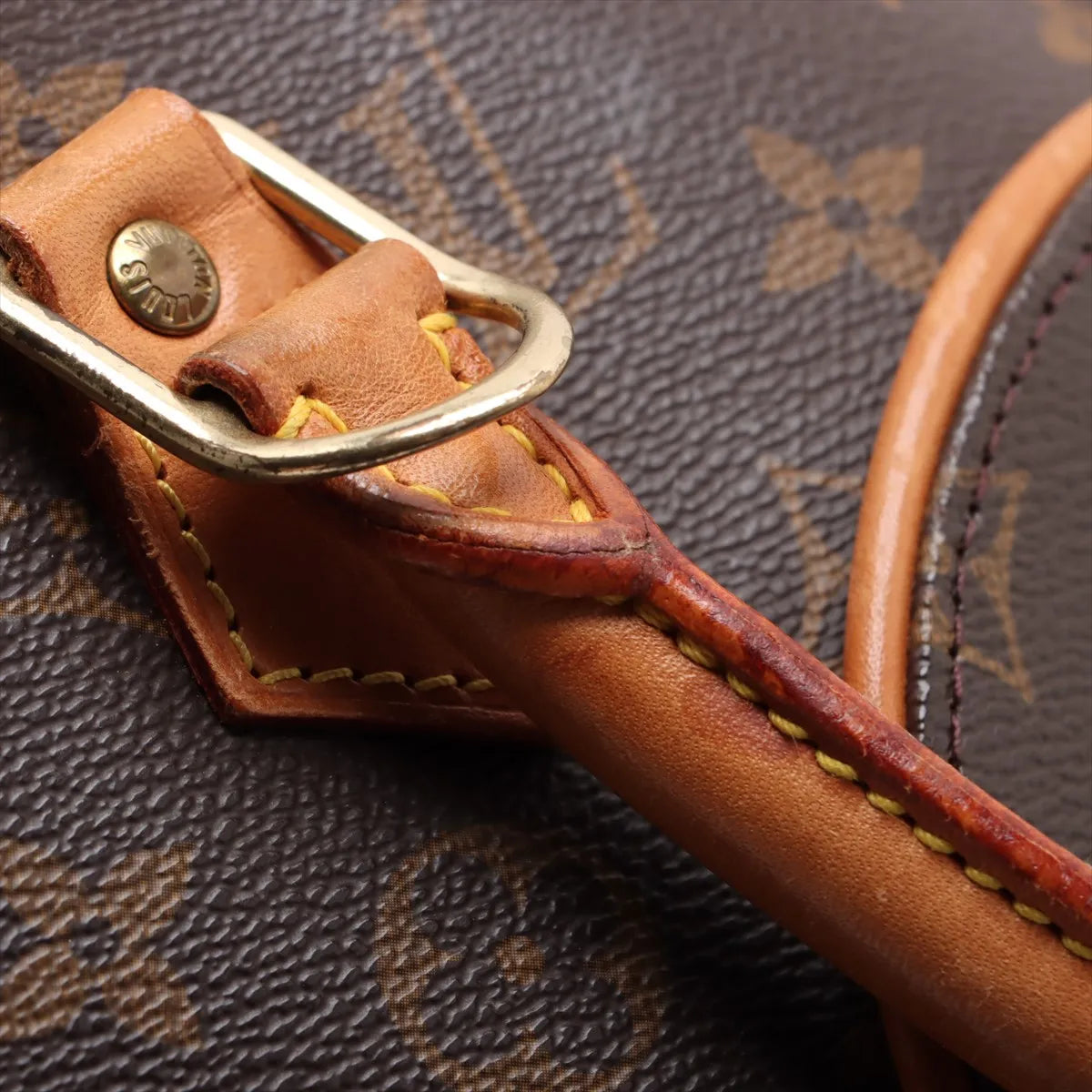 Louis Vuitton Monogram Ellipse PM