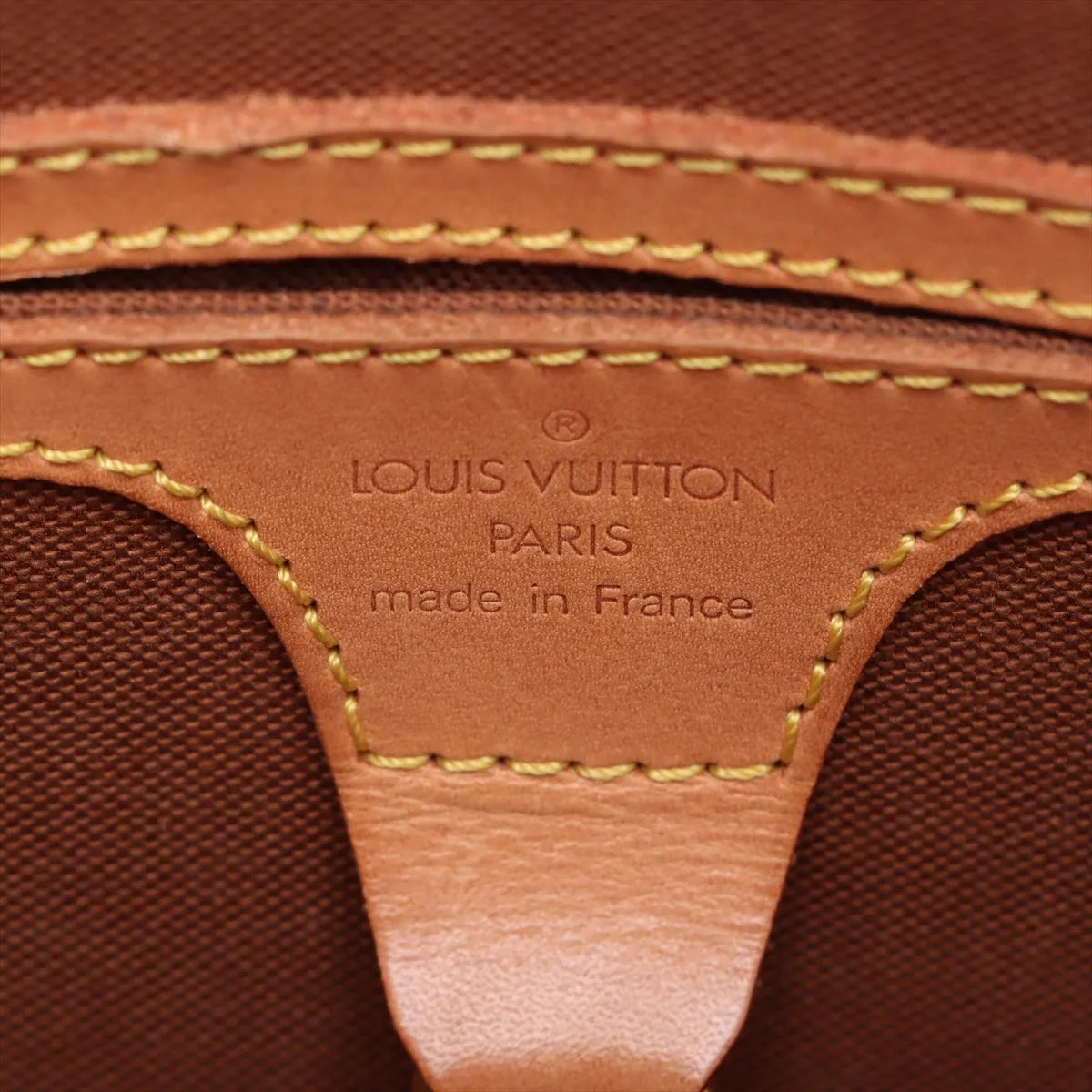 Louis Vuitton Monogram Ellipse PM