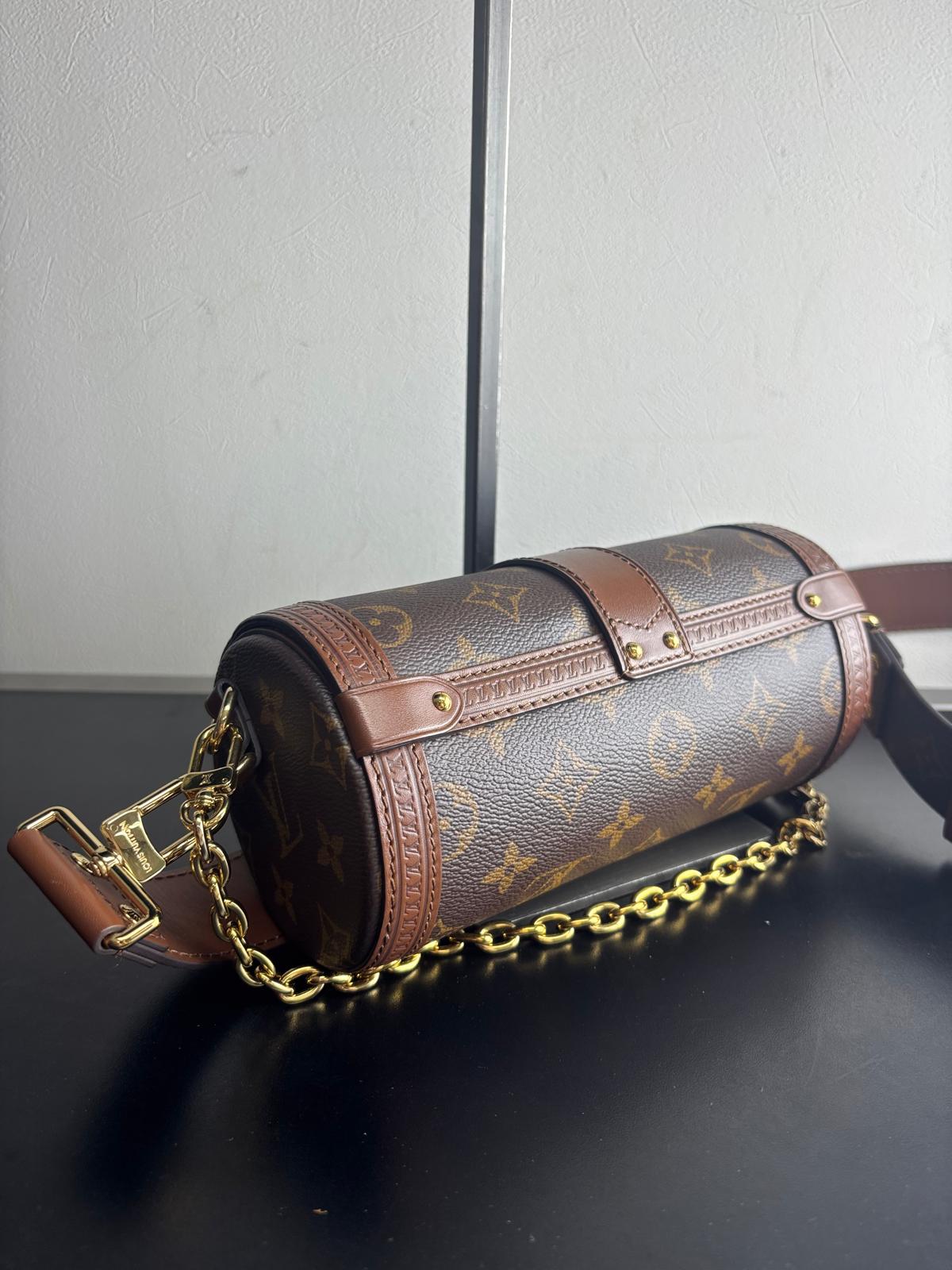 Louis Vuitton Papillon Trunk