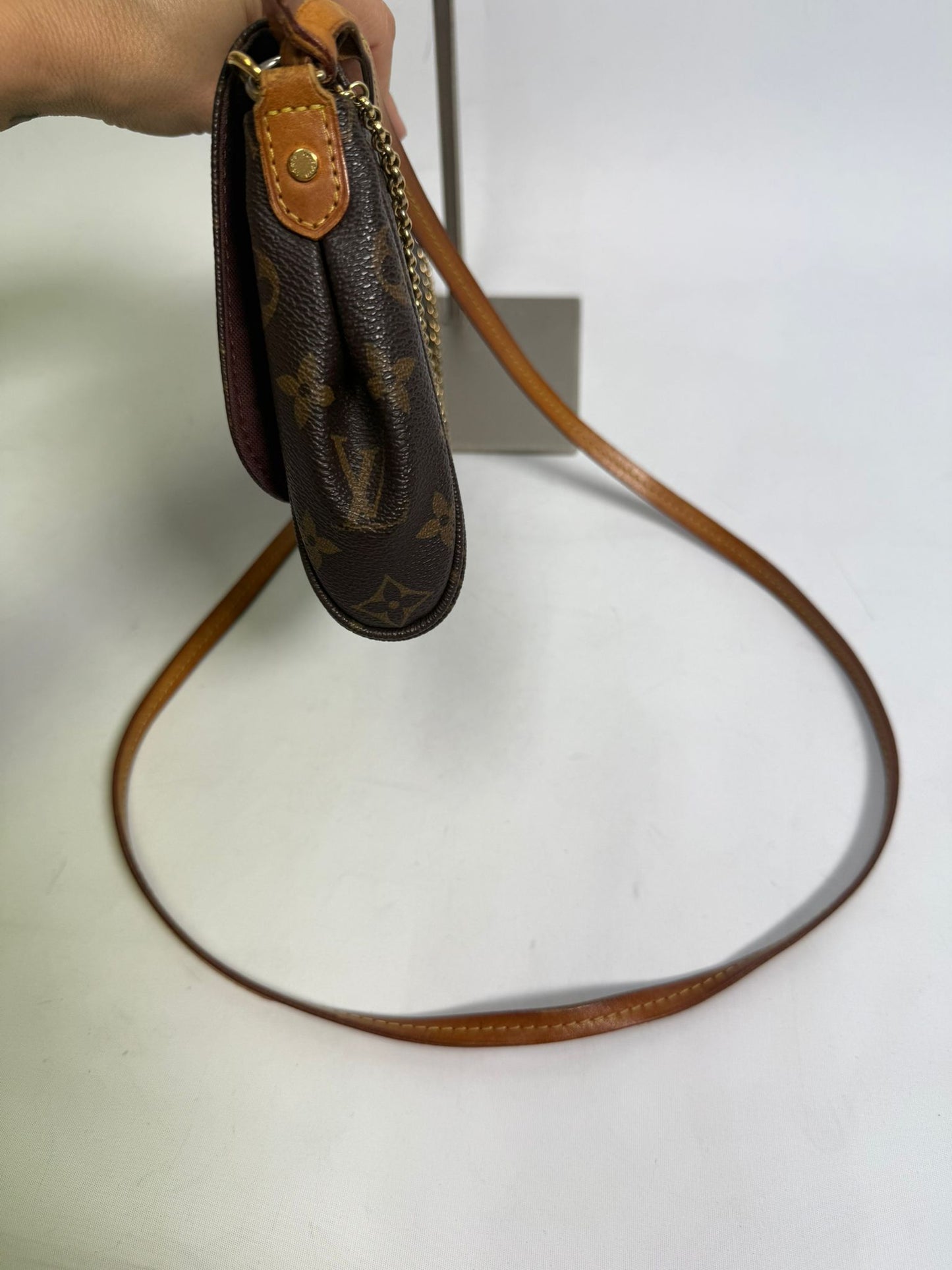 Louis Vuitton Monogram Favorite MM
