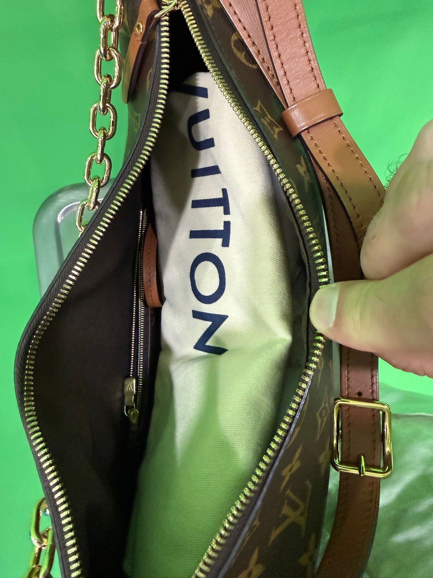 Louis Vuitton Monogram Loop Hobo Bag